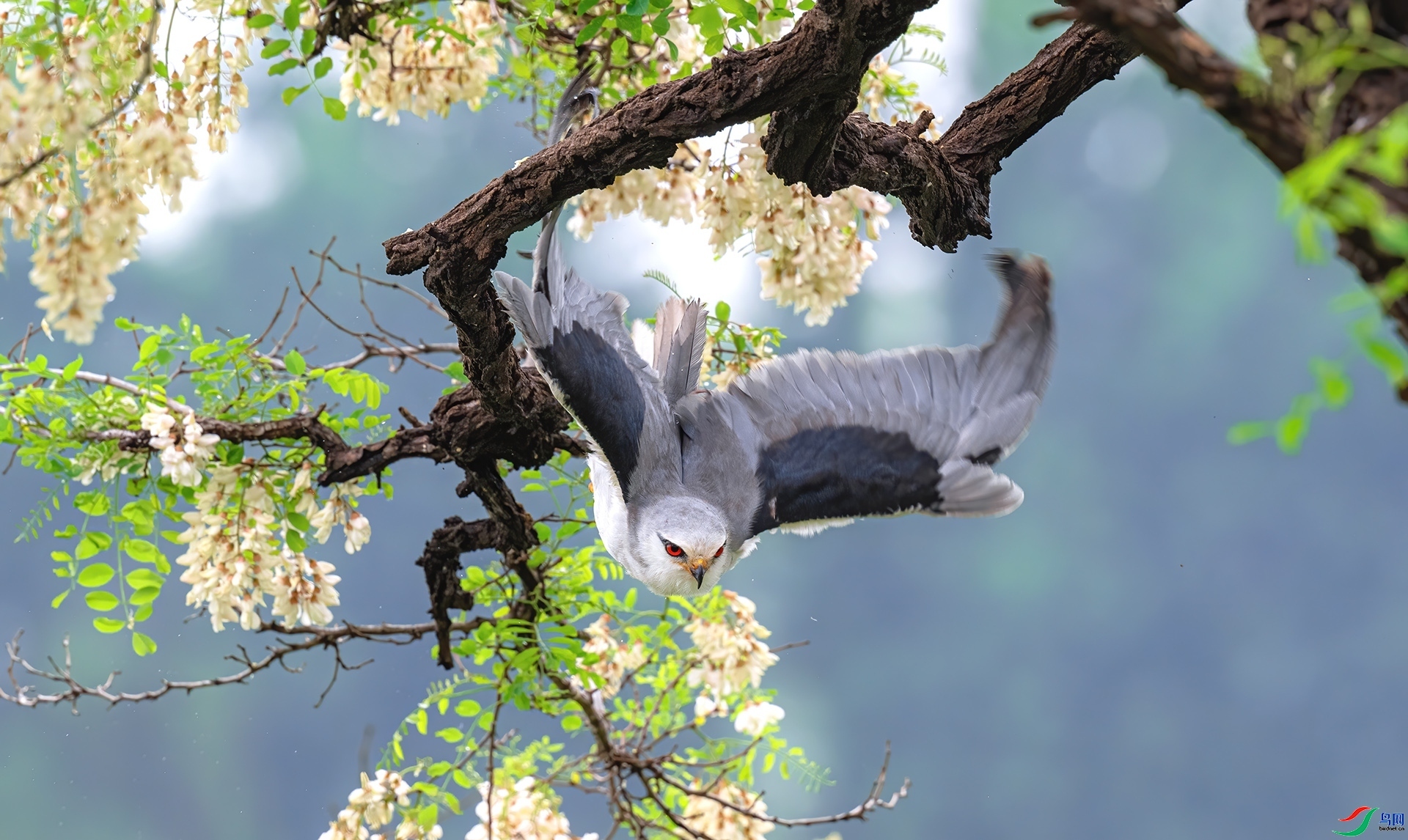 ���з�  ���� ��������  ����.jpg