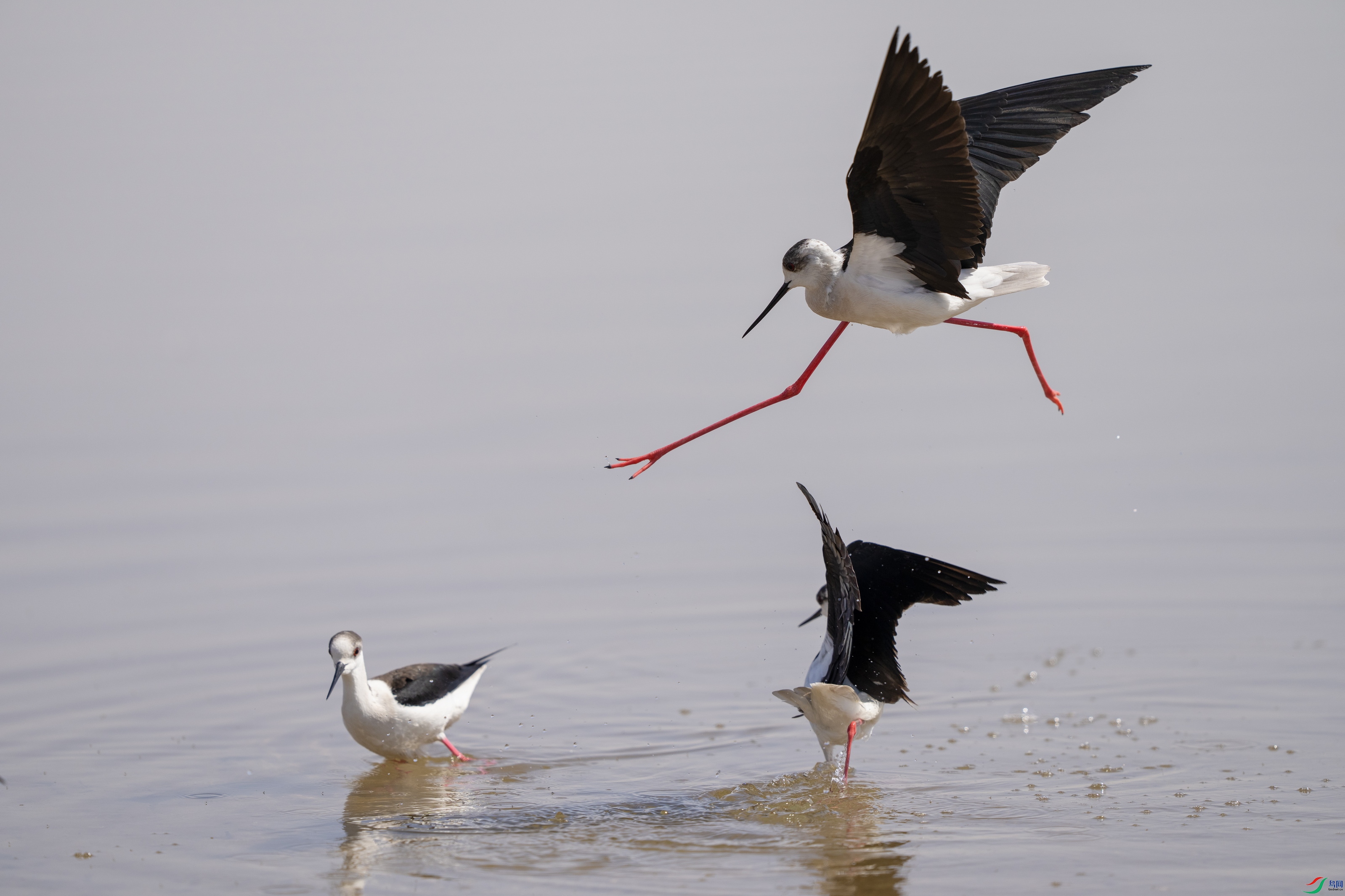 DSC06044 ����x.jpg