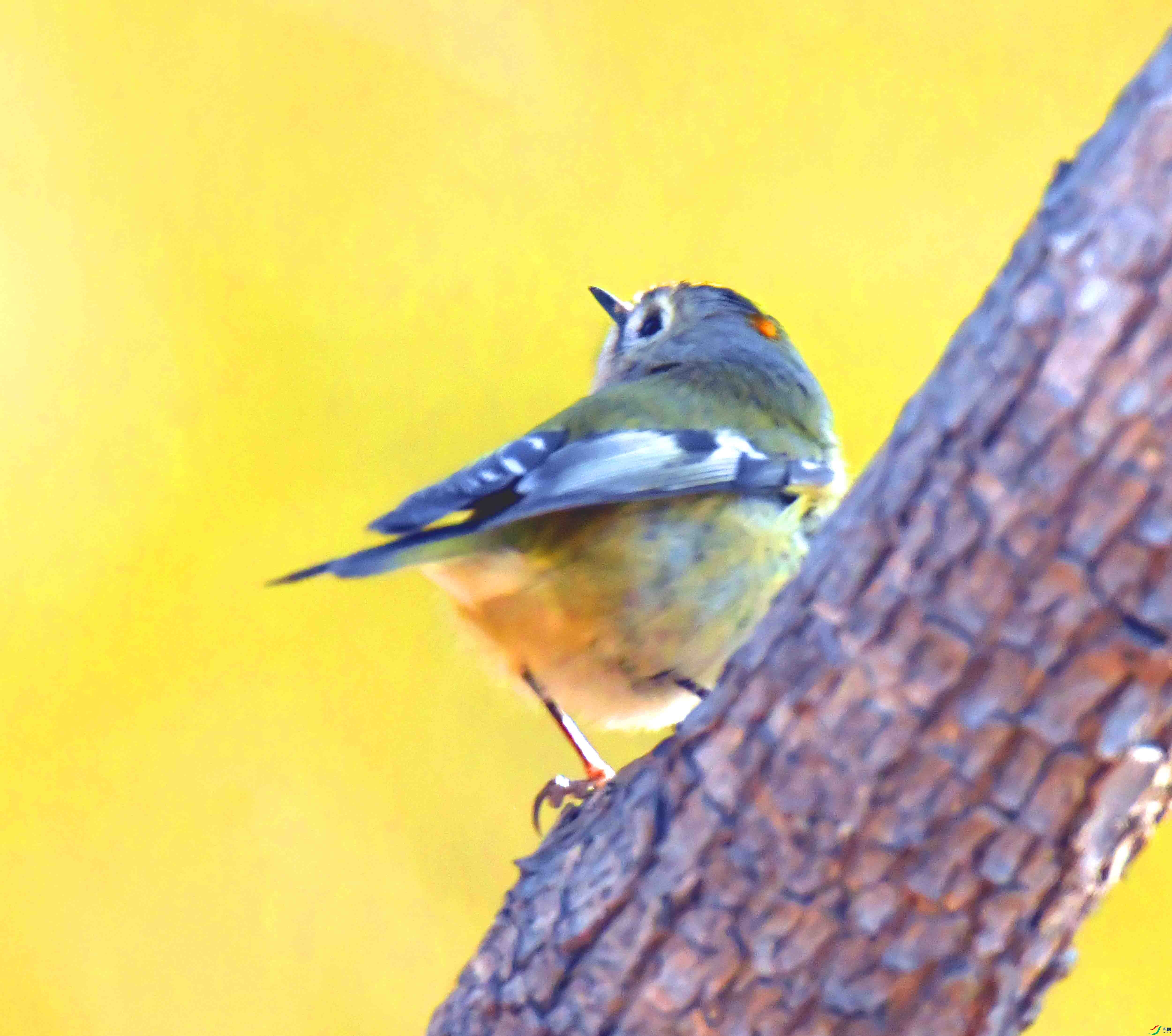 DSC_0214.JPG