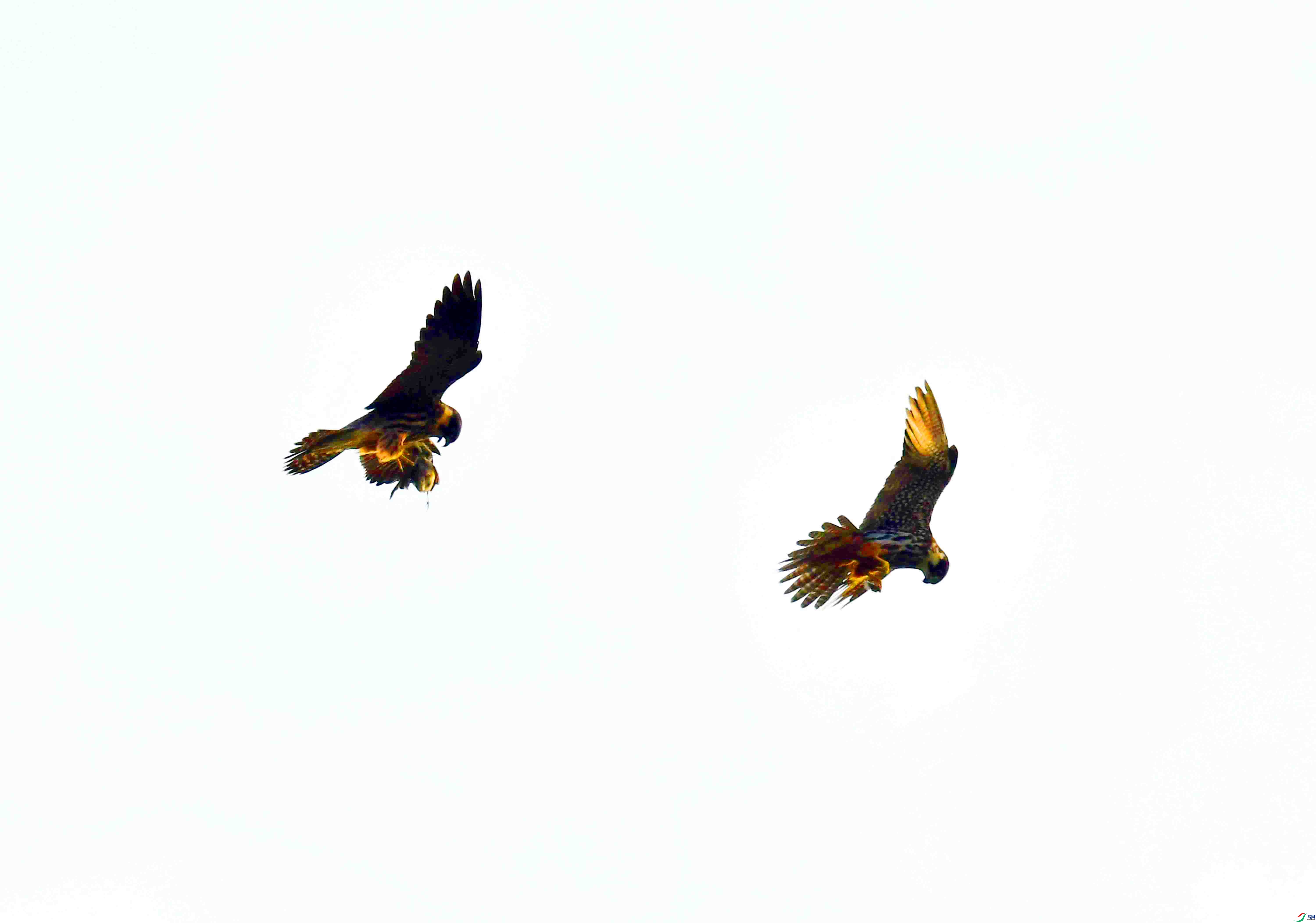 DSC_0108.JPG