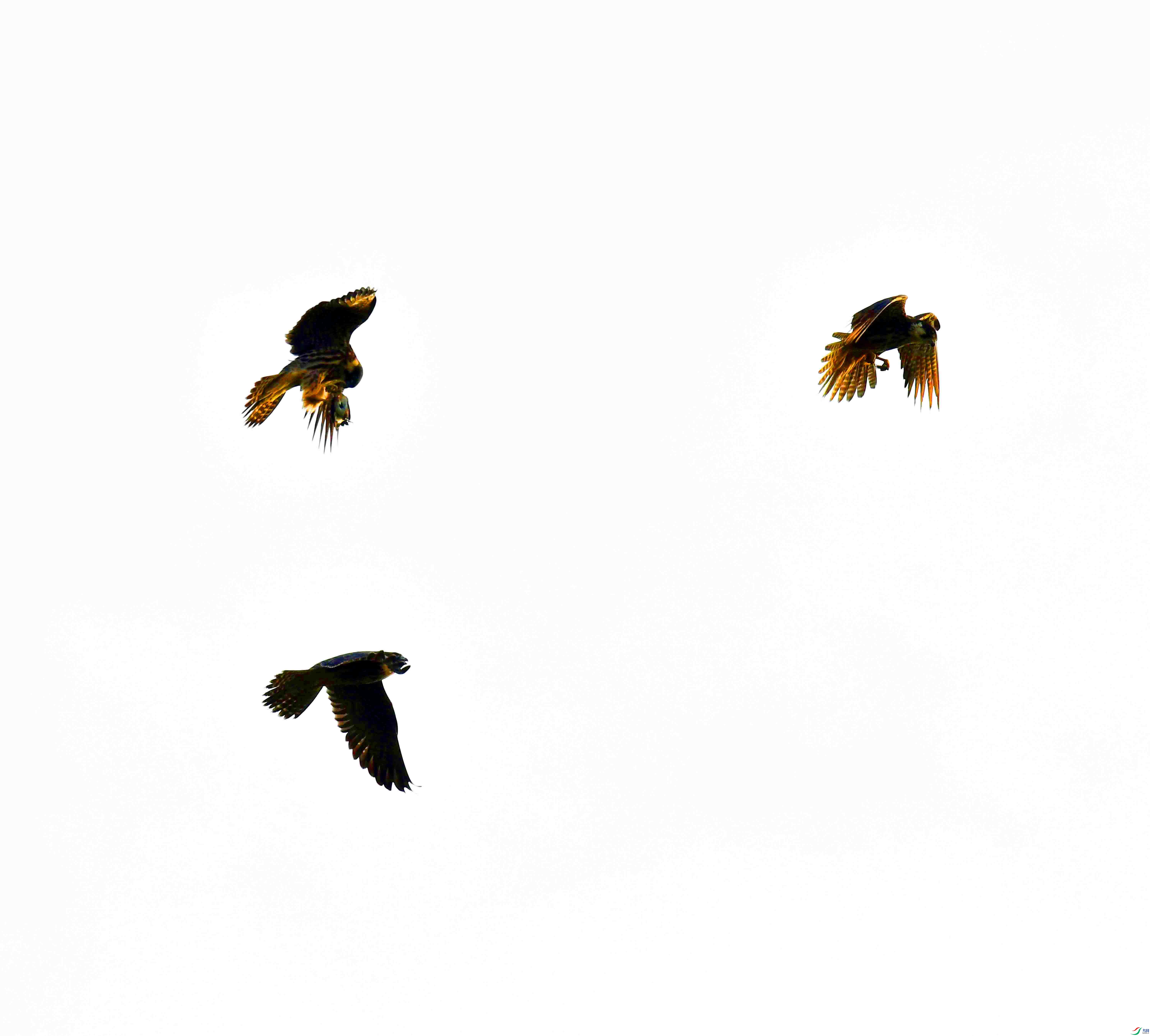 DSC_0109.JPG