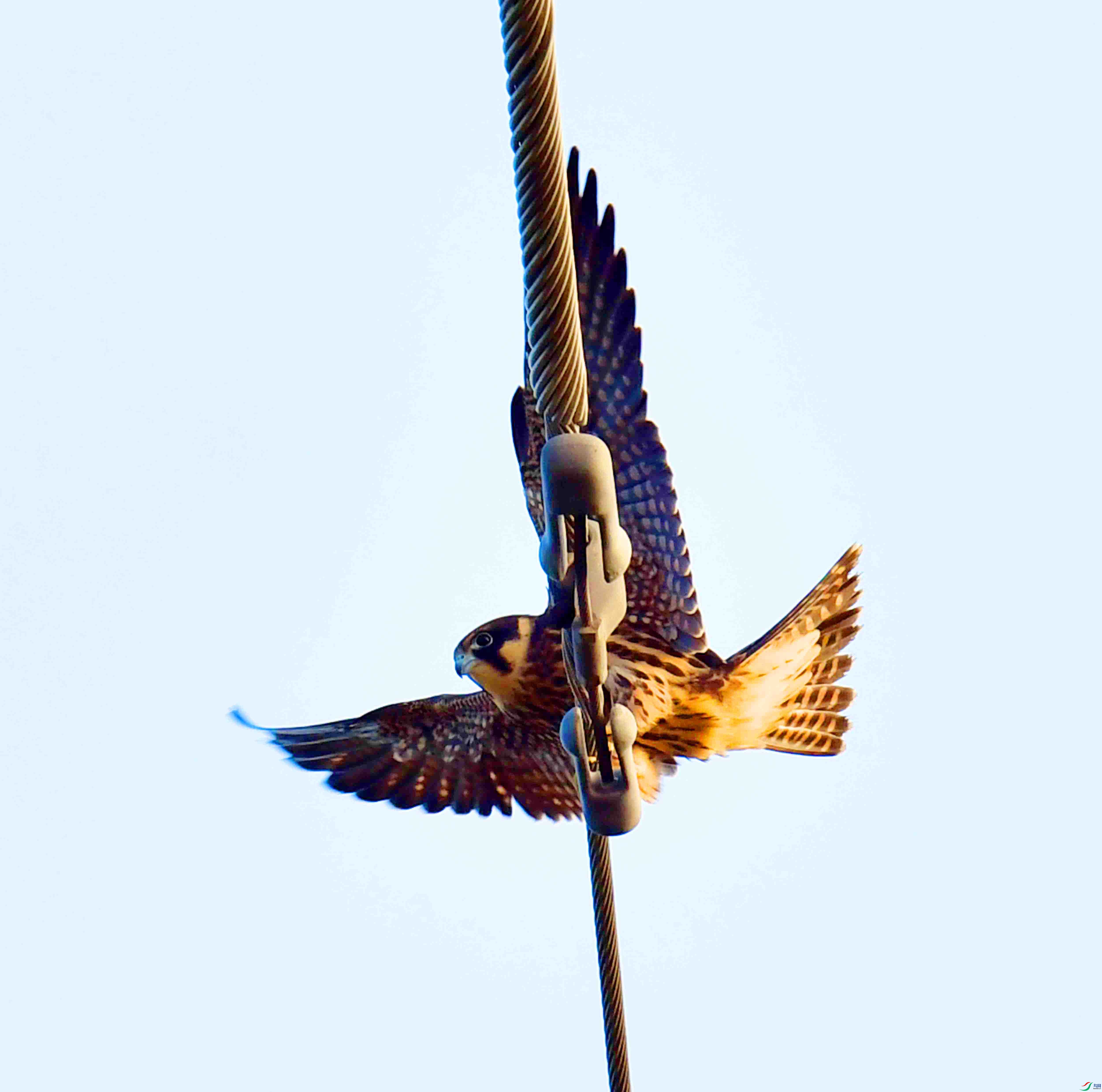 DSC_0137.JPG