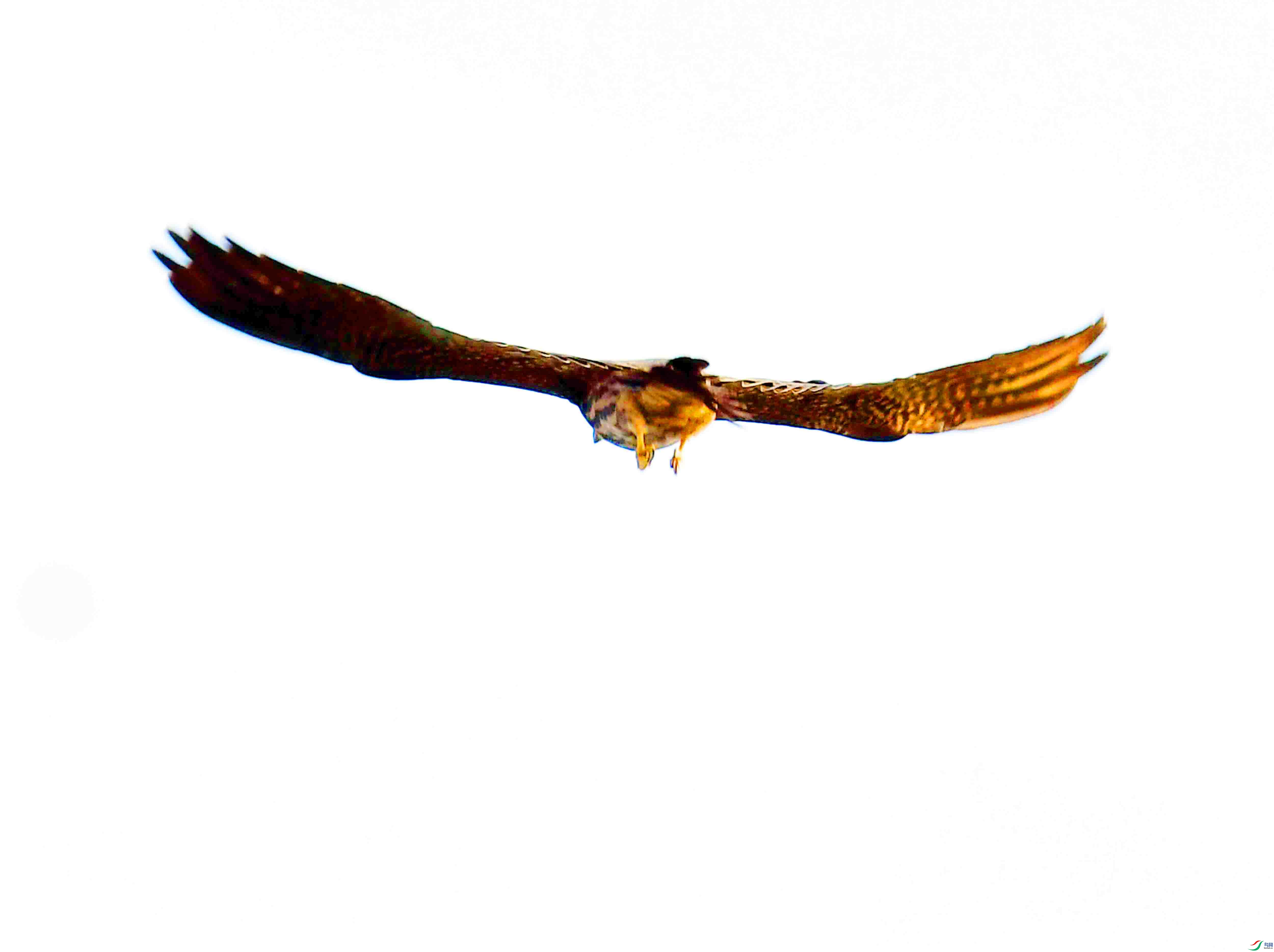 DSC_0134.JPG