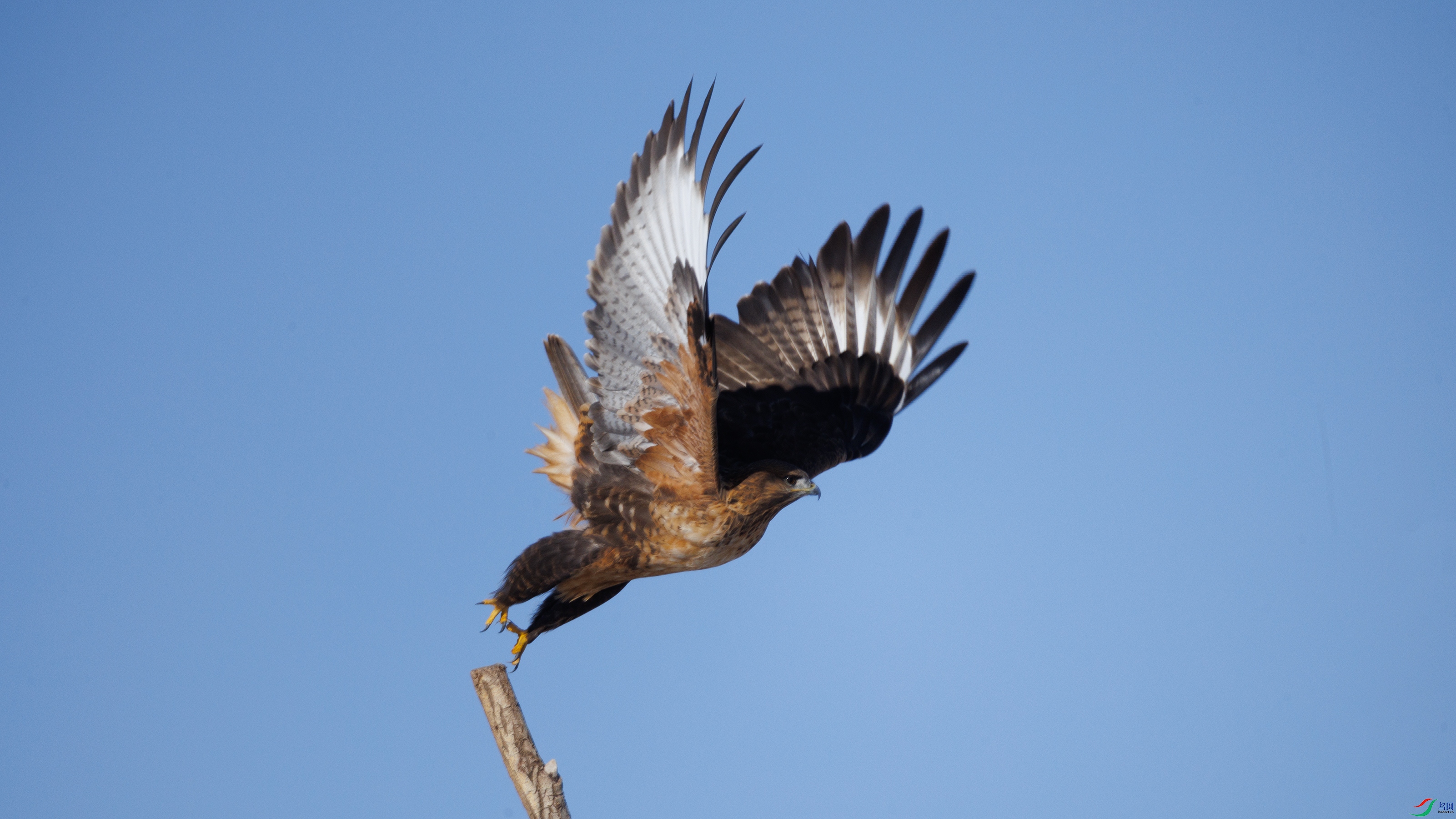 7X5A1776 ����44444.jpg