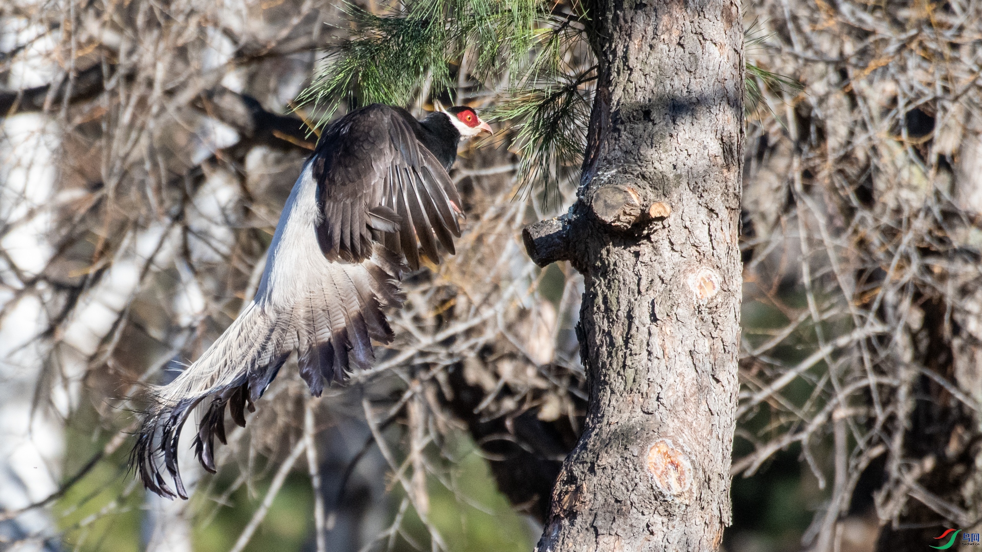 DSC_6384.jpg