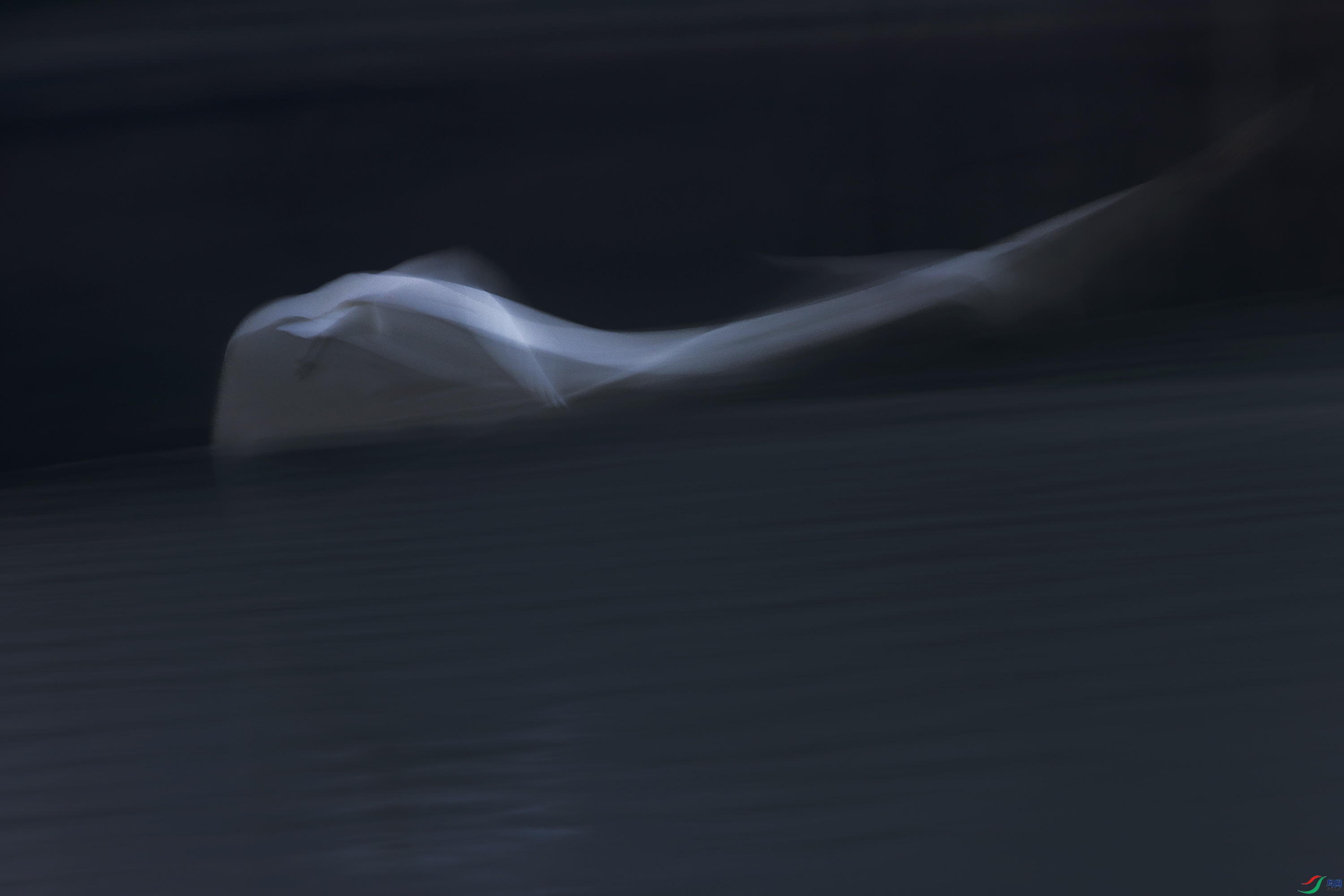 278A7854.jpg