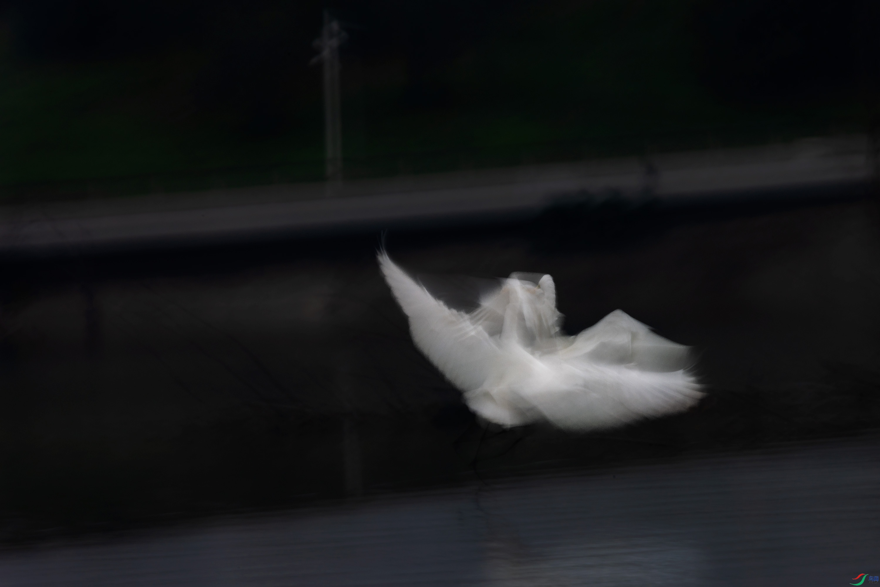 278A7732.jpg