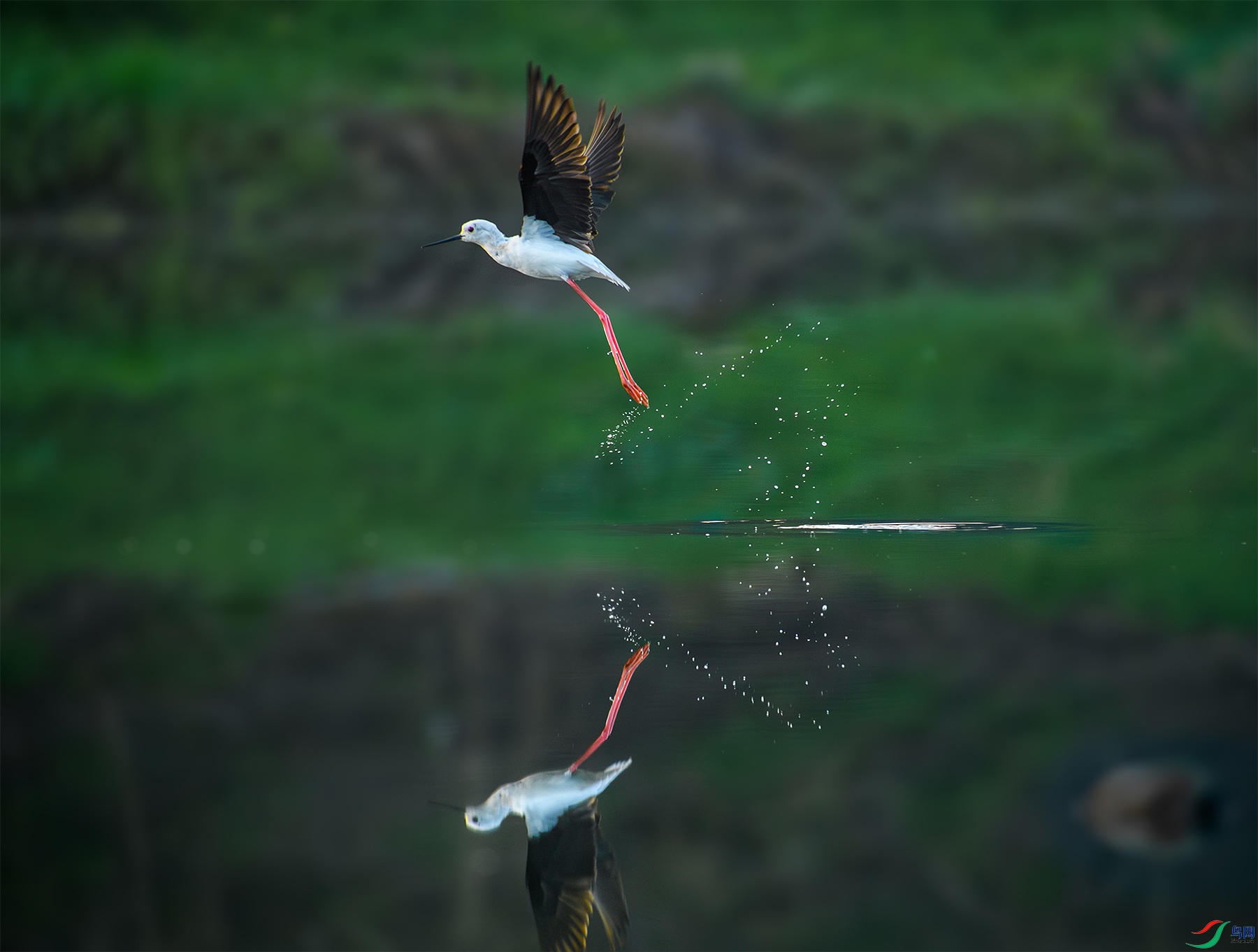 DSC_9219-2.jpg