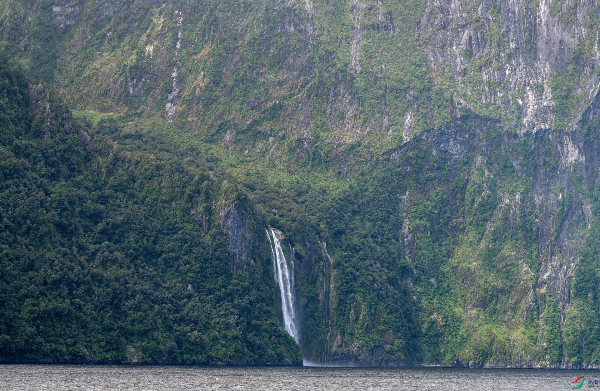 DSC_8112-1.jpg