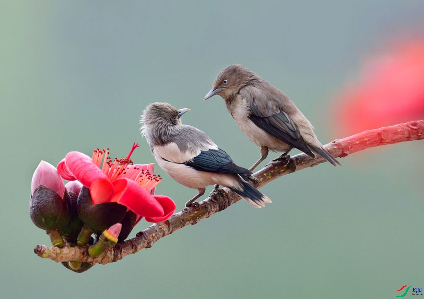 15-�ٳ���  ������ ������.jpg