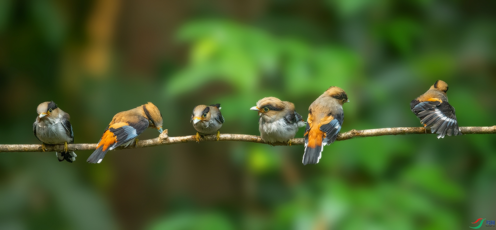 DSC_3631.jpg