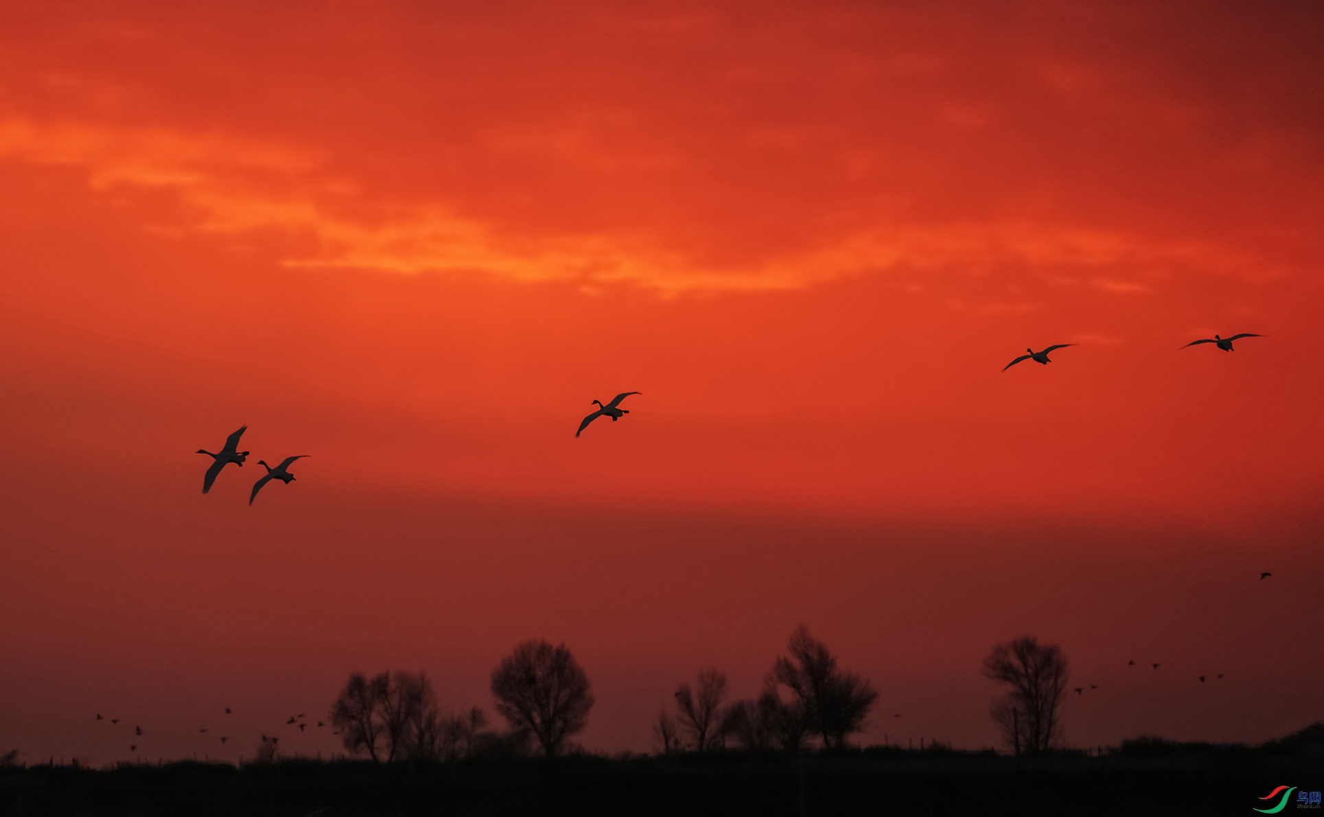 DSC02067 ����.jpg