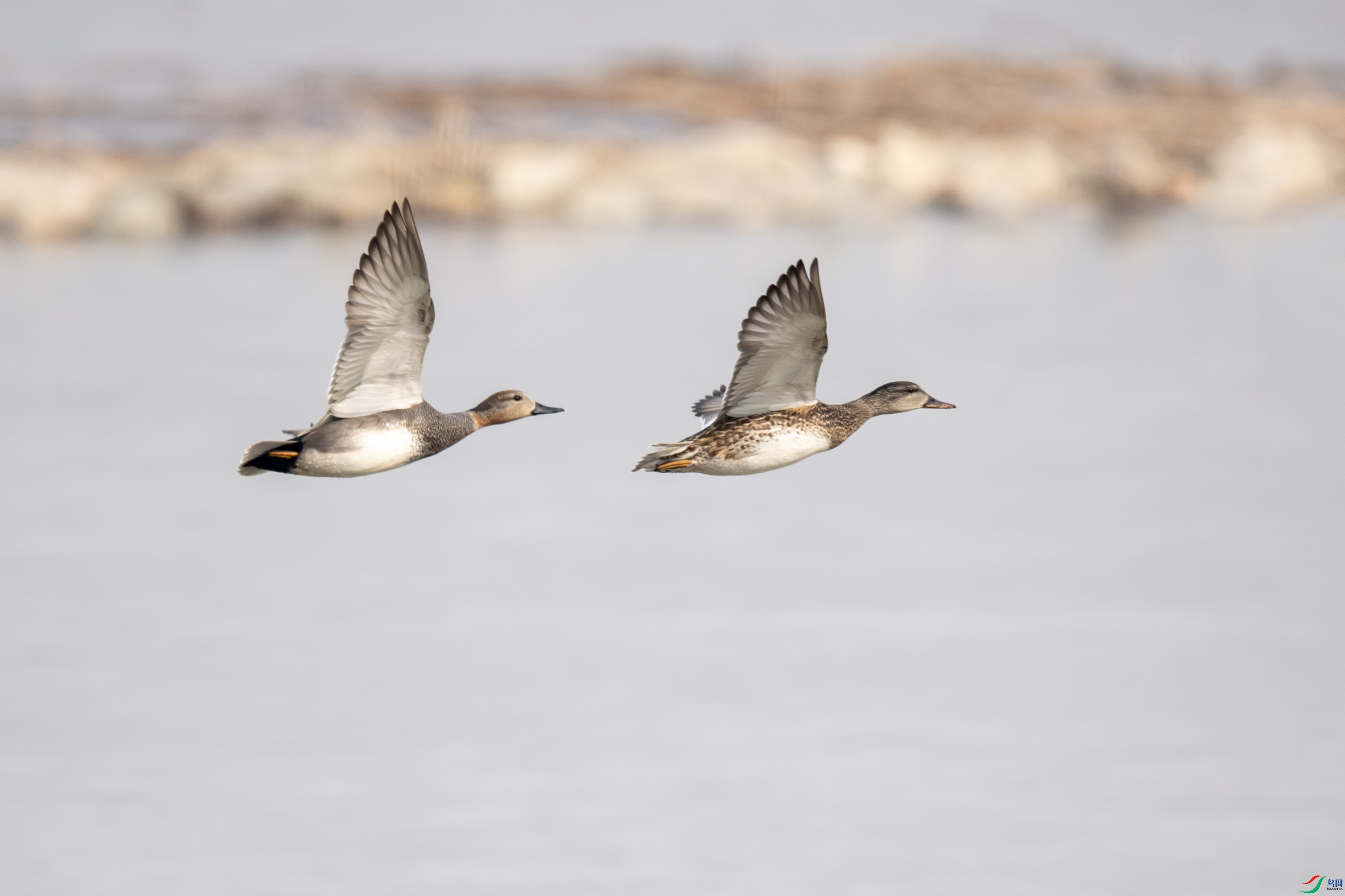 DSC_5822 ����.jpg