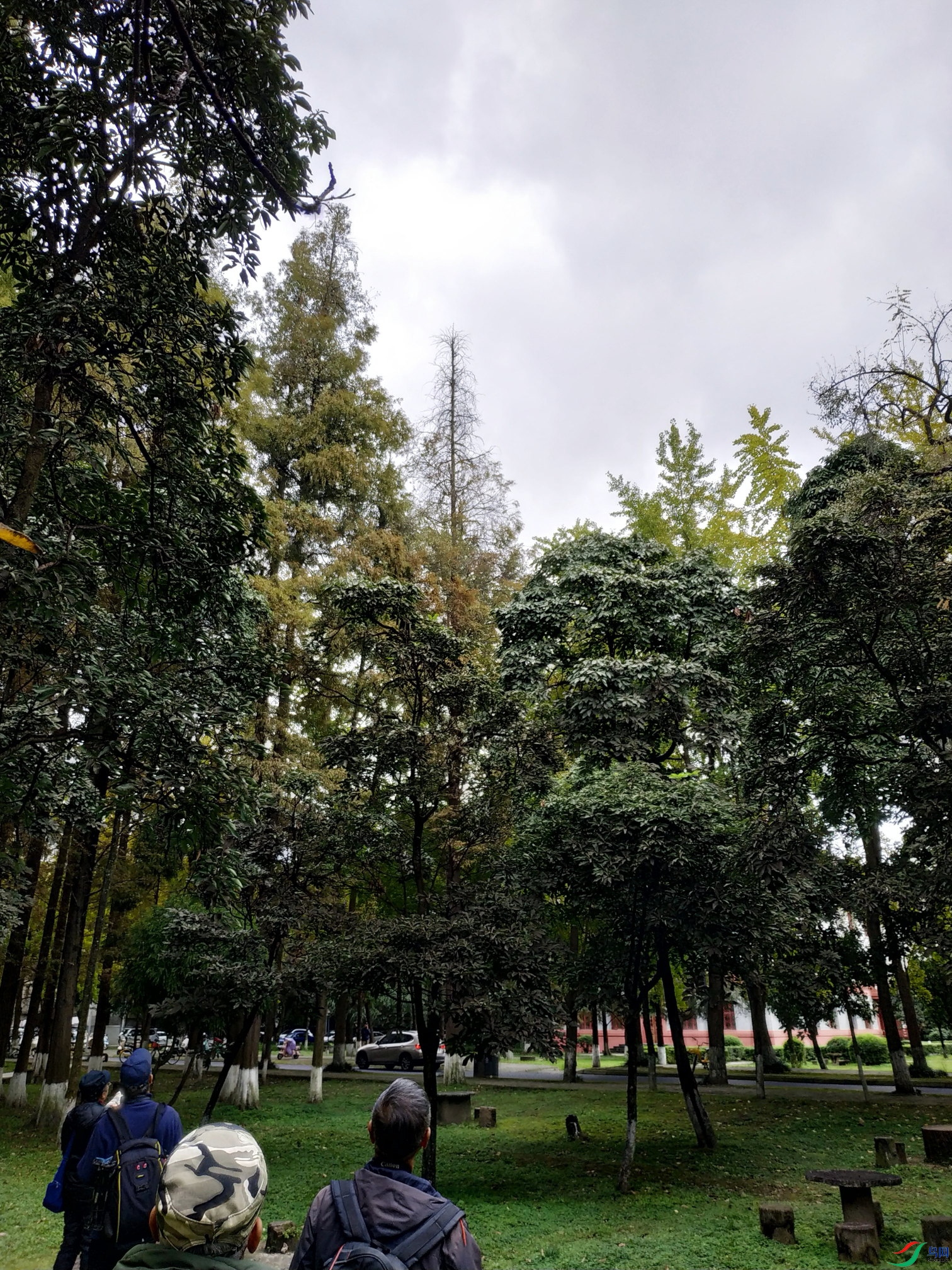 ΢��ͼƬ_20241118162811.JPG