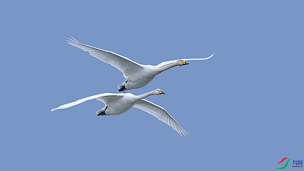 ���3 - ����.jpg