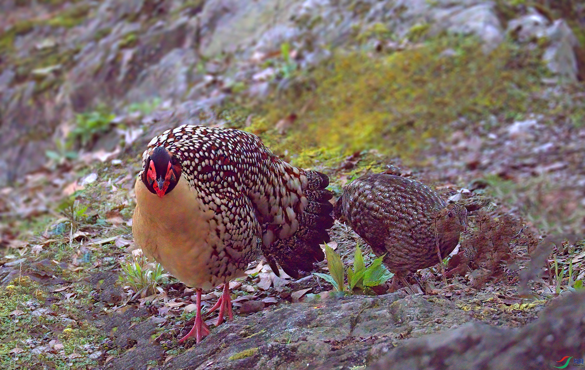 407A4534-SharpenAI-focus ����  .jpg
