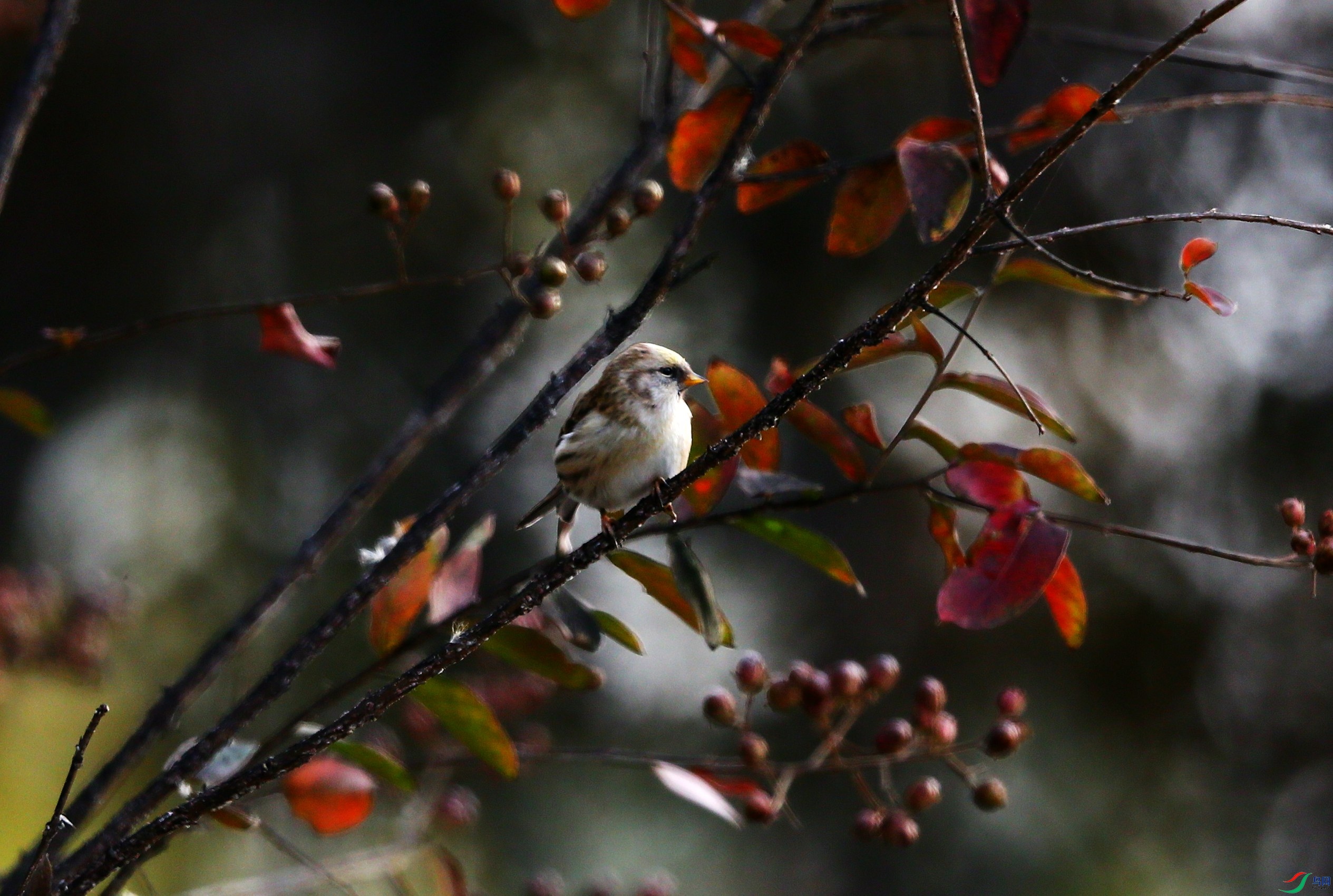 �����춥ȸ (1).JPG