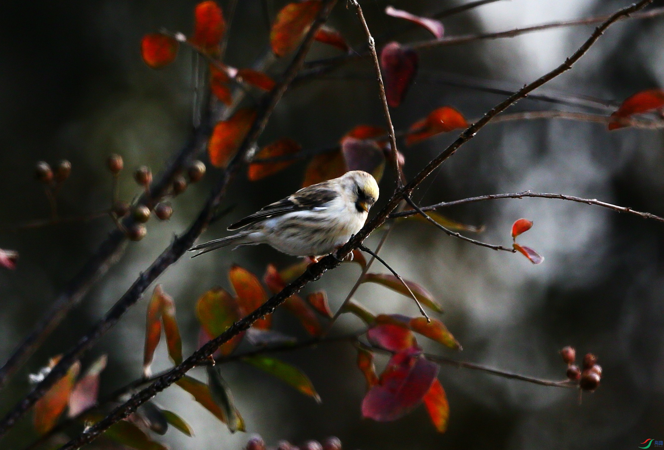 �����춥ȸ (3).JPG