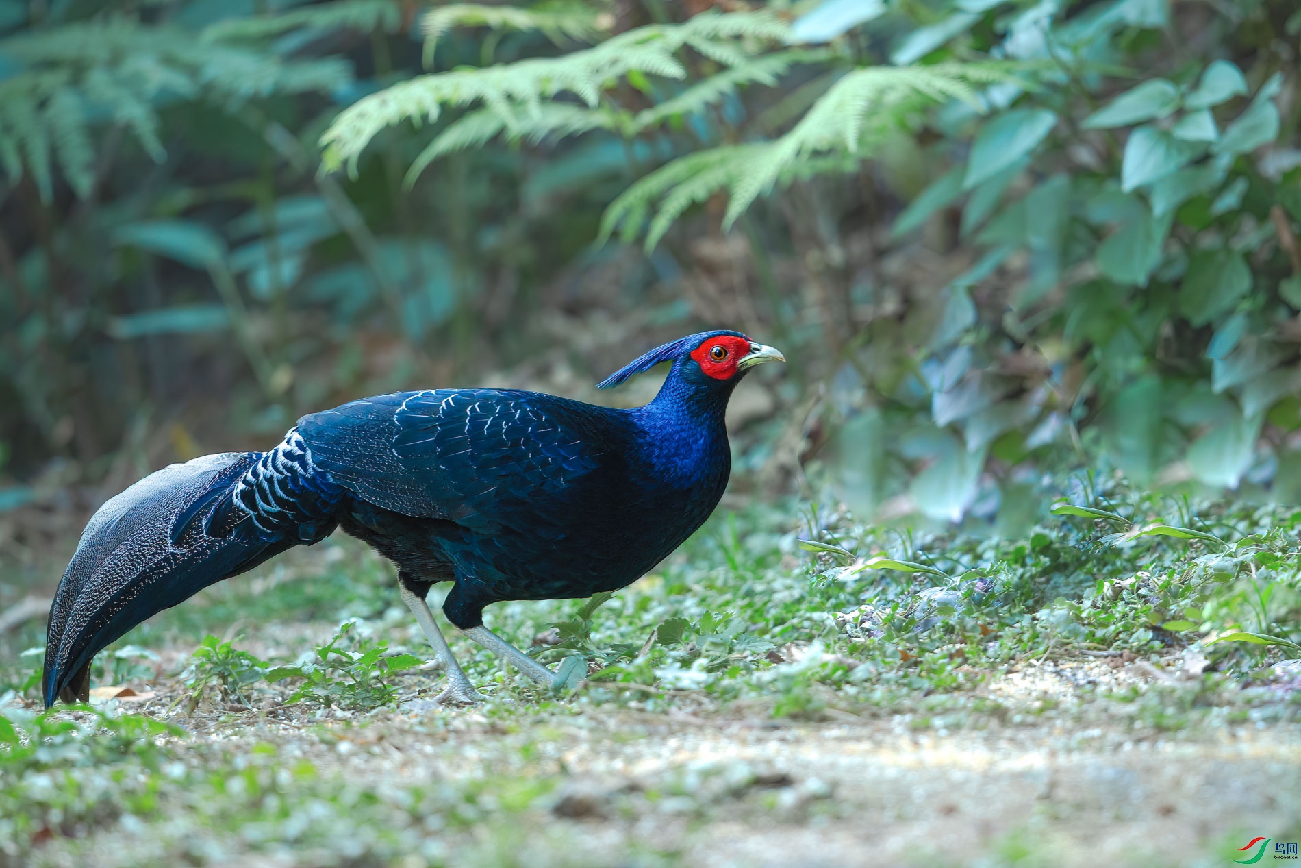 a_73465-1.jpg