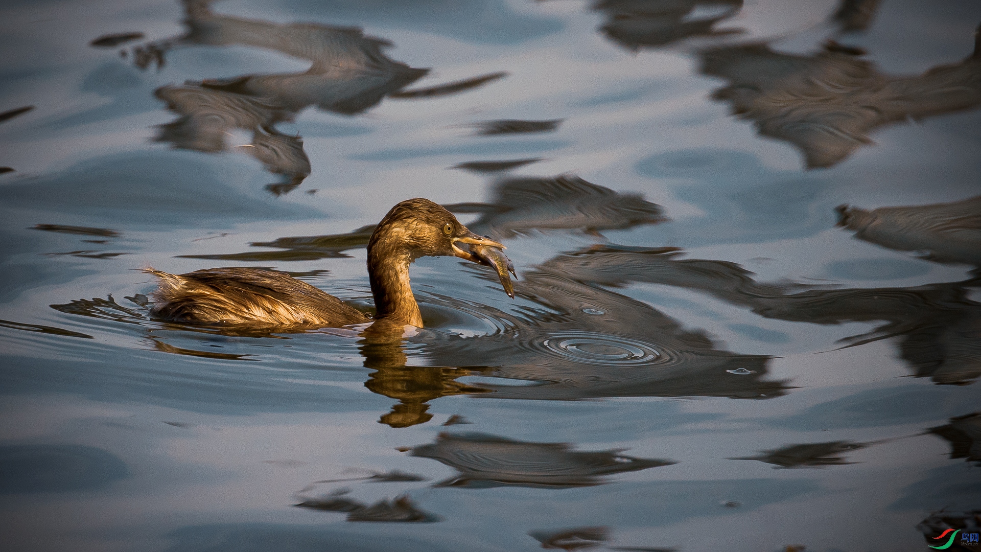 ������ˮ������