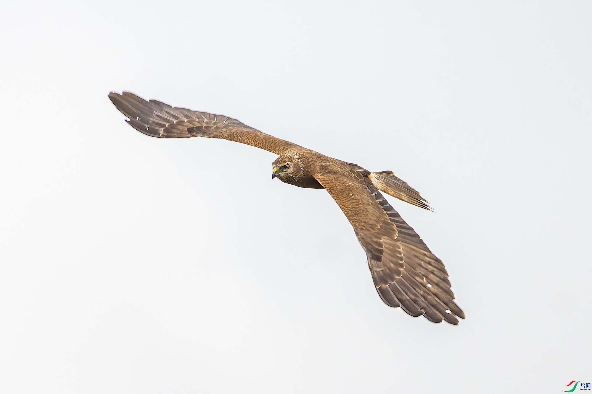 _97A0028-CR3 copy.jpg