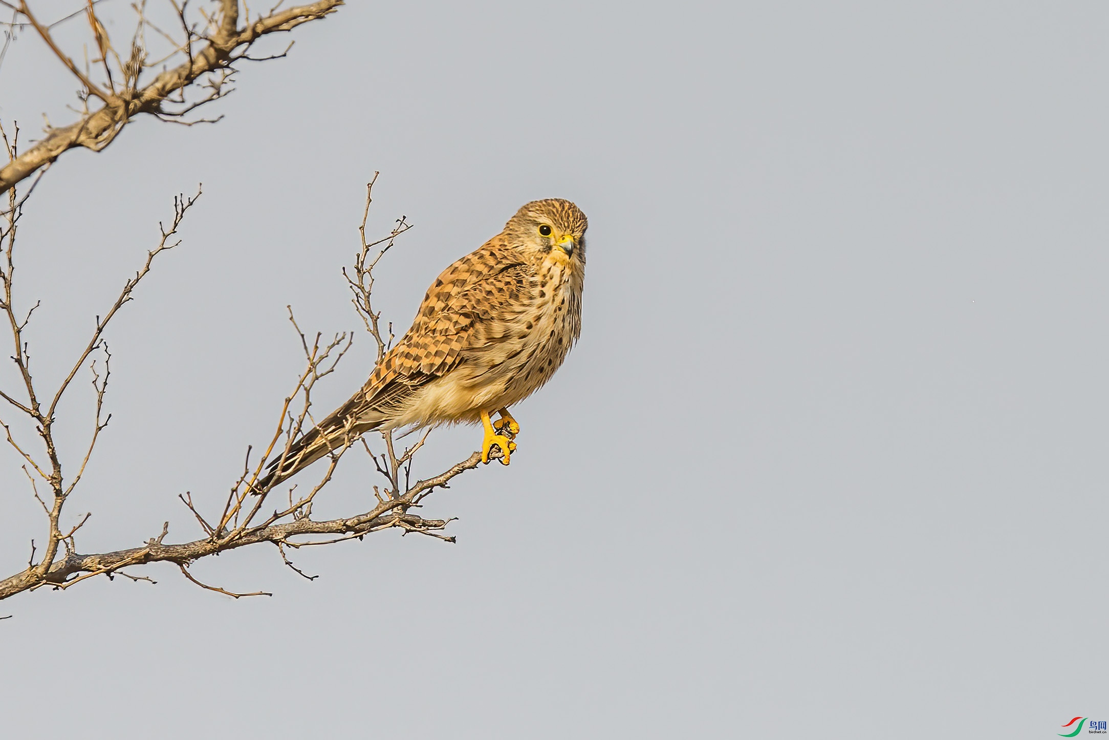 DSC_1766 ����.jpg