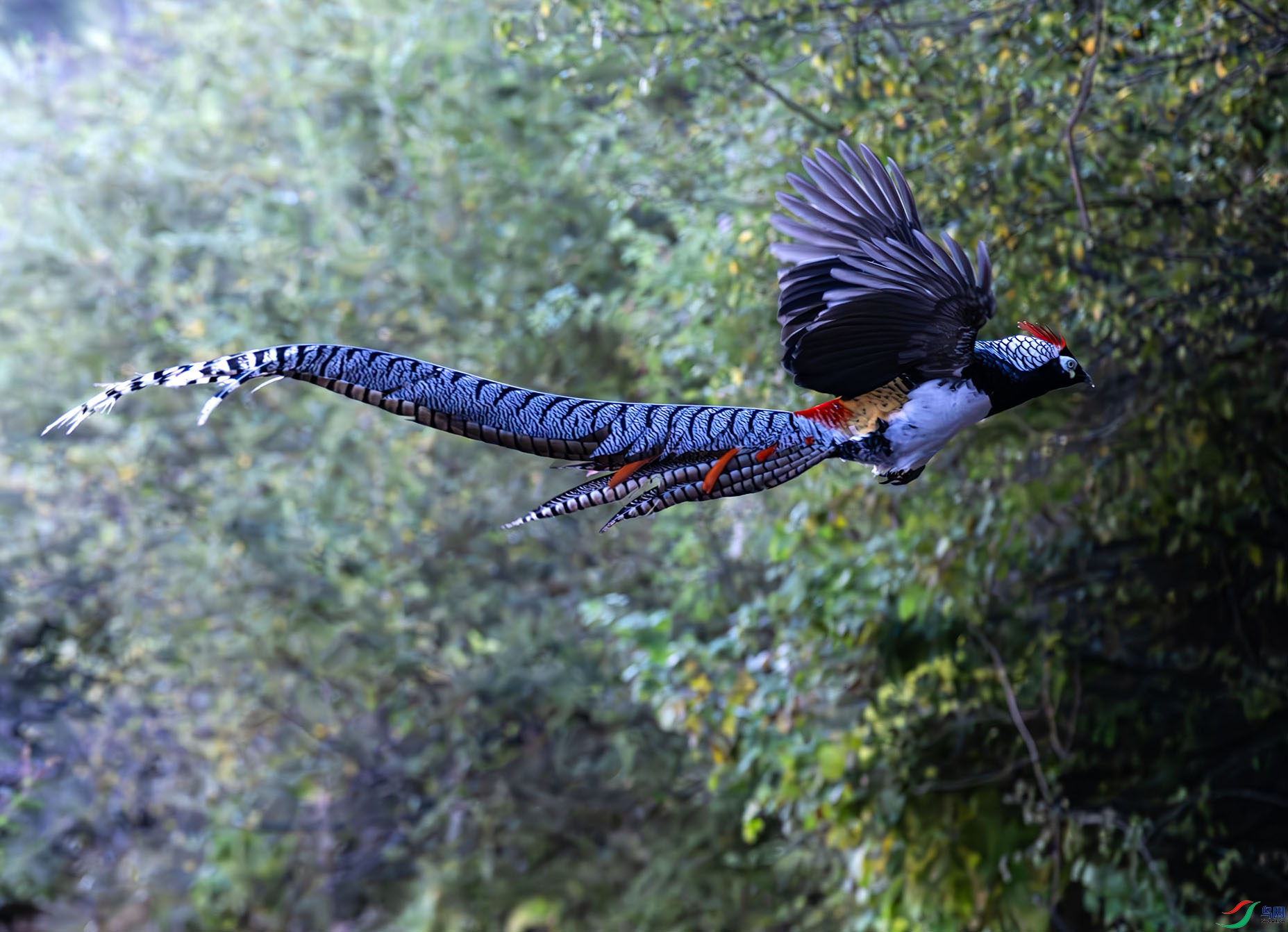 DSC_9005-����ǿ-NR ���� 2.jpg