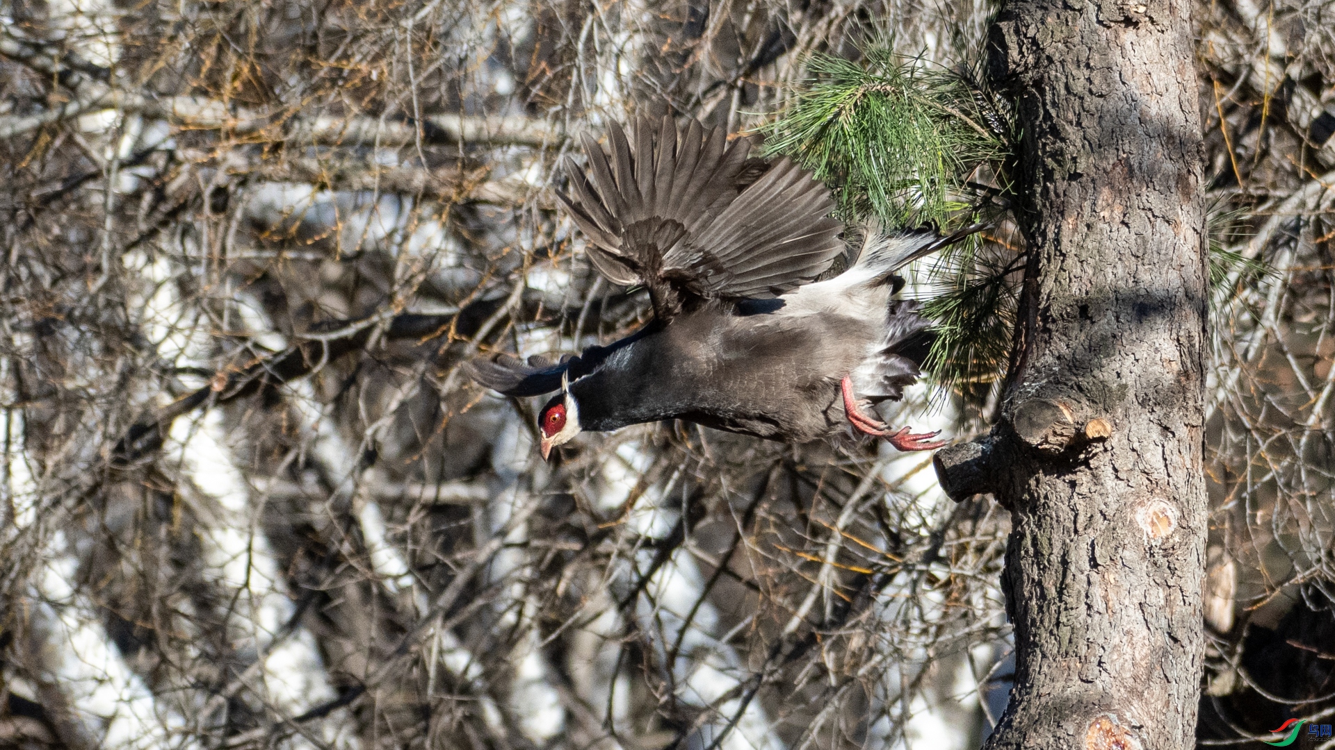 DSC_6390.jpg