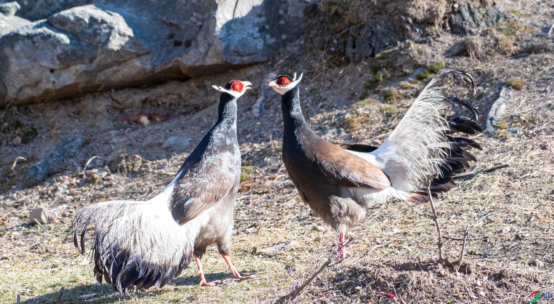 DSC_6570.jpg