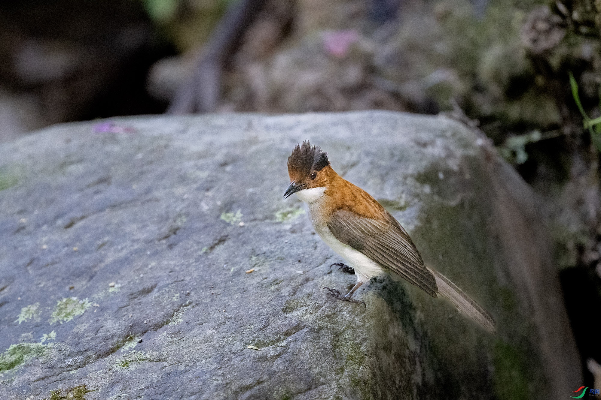 DSC_7644.jpg