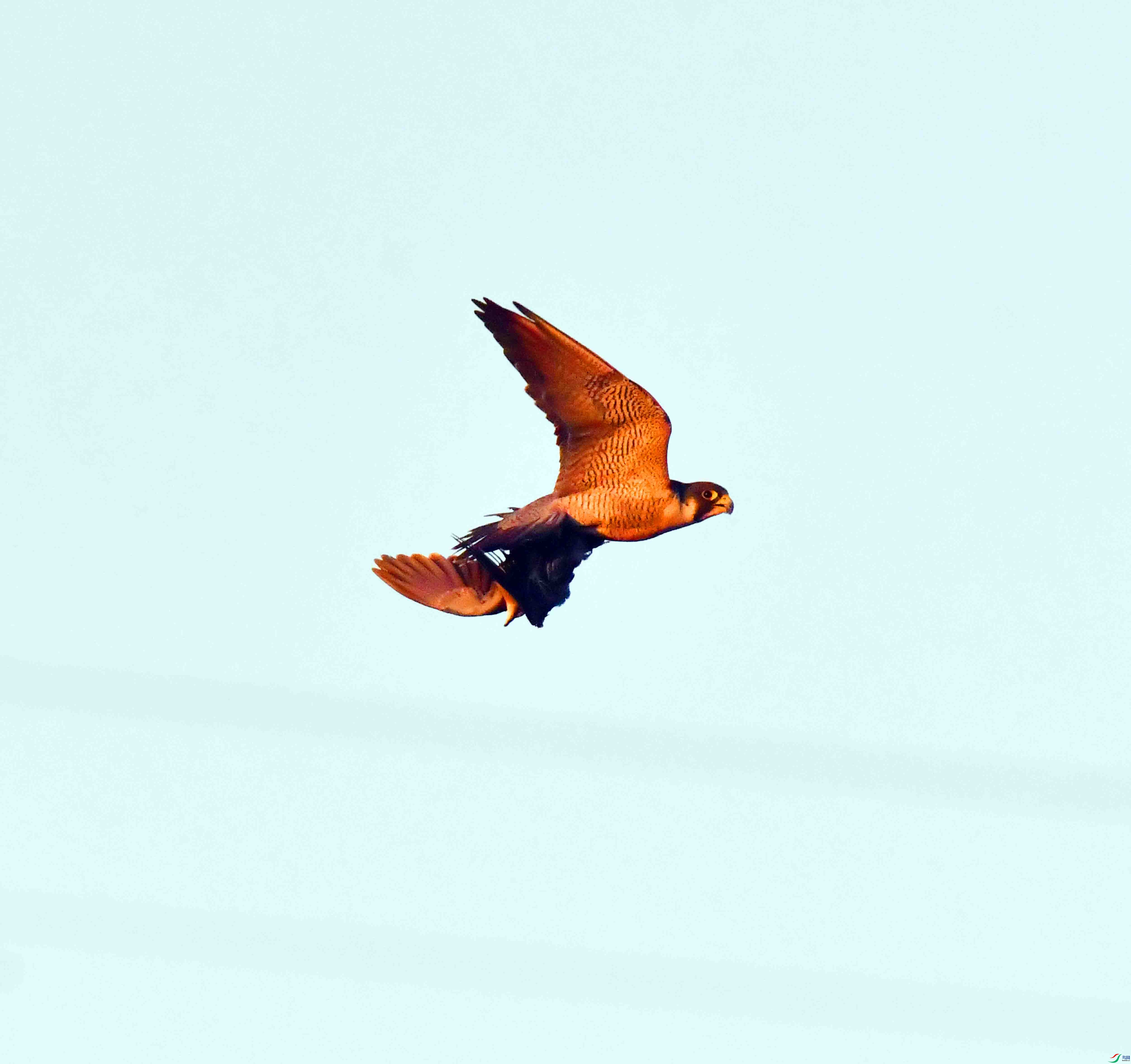 DSC_3926.JPG