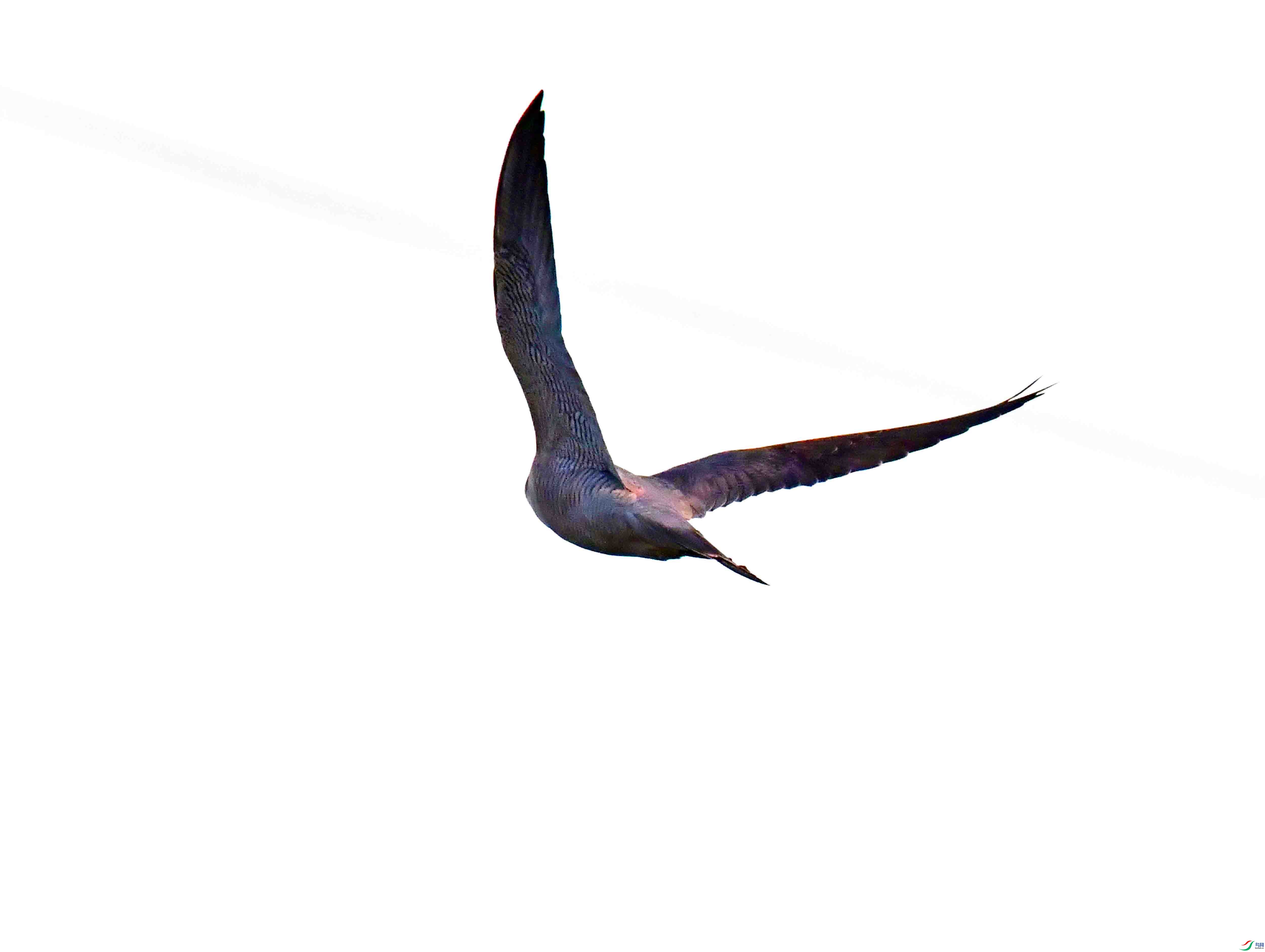 DSC_3944.JPG