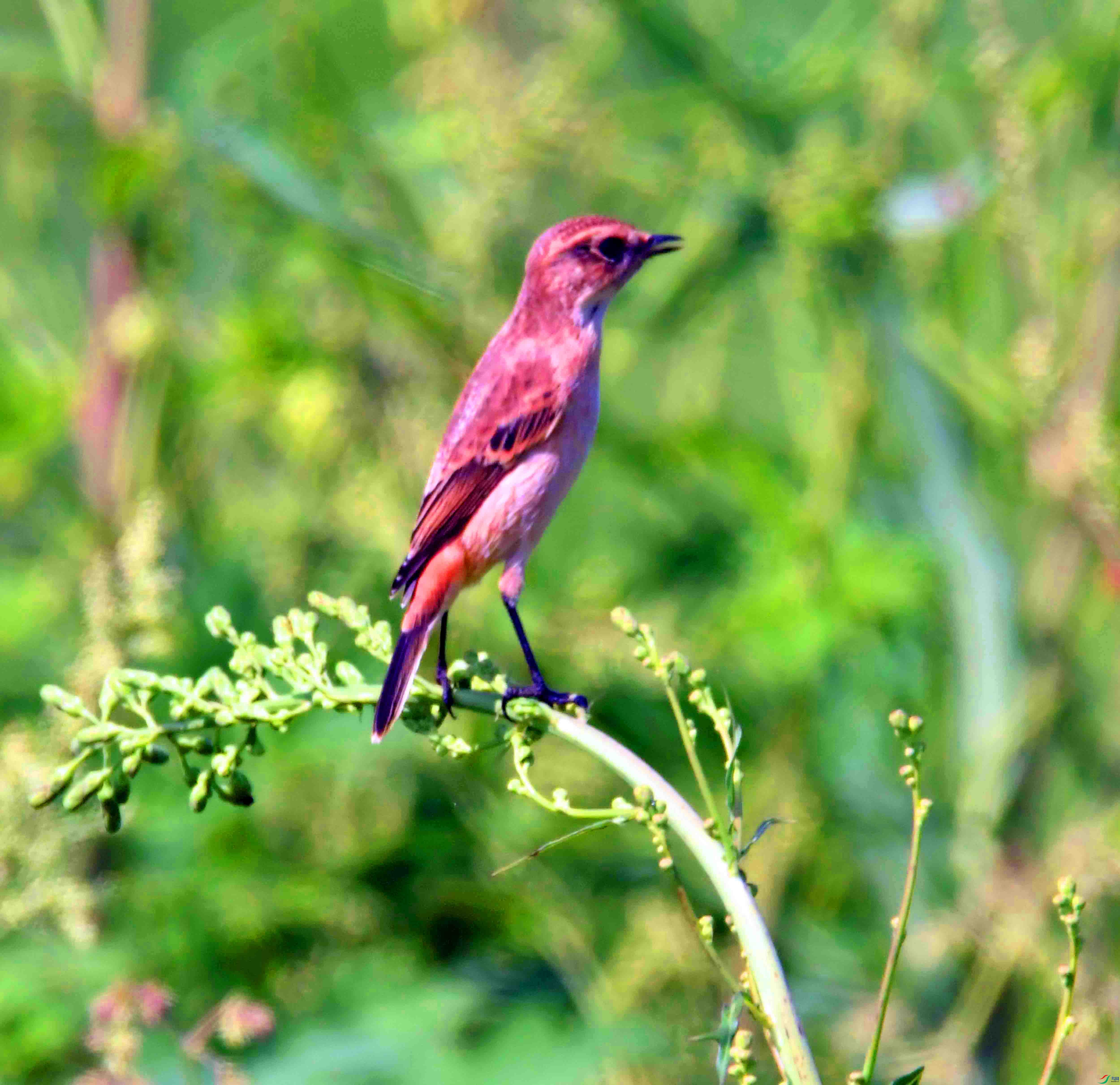 DSC_9549.JPG