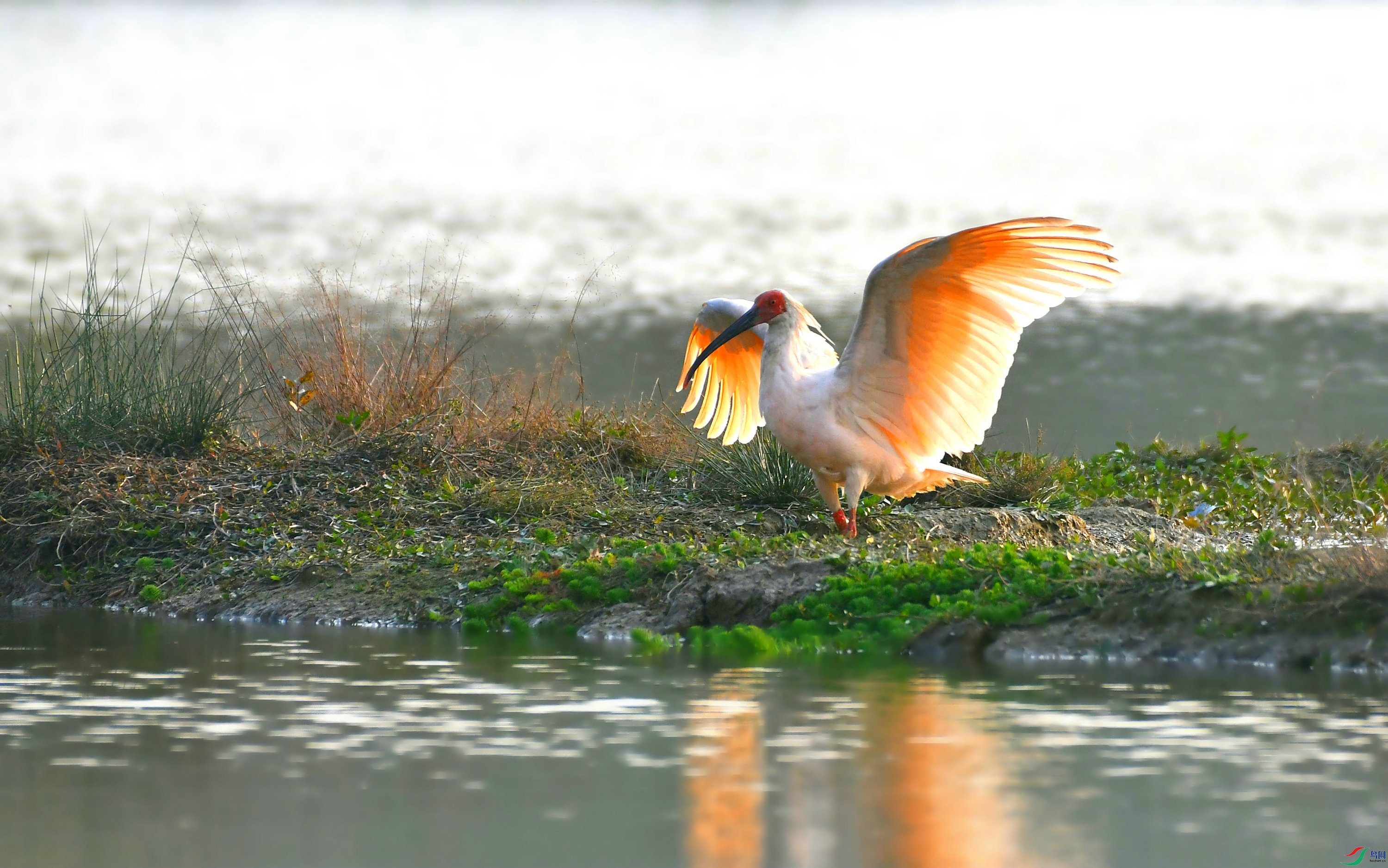DSC_8036.JPG