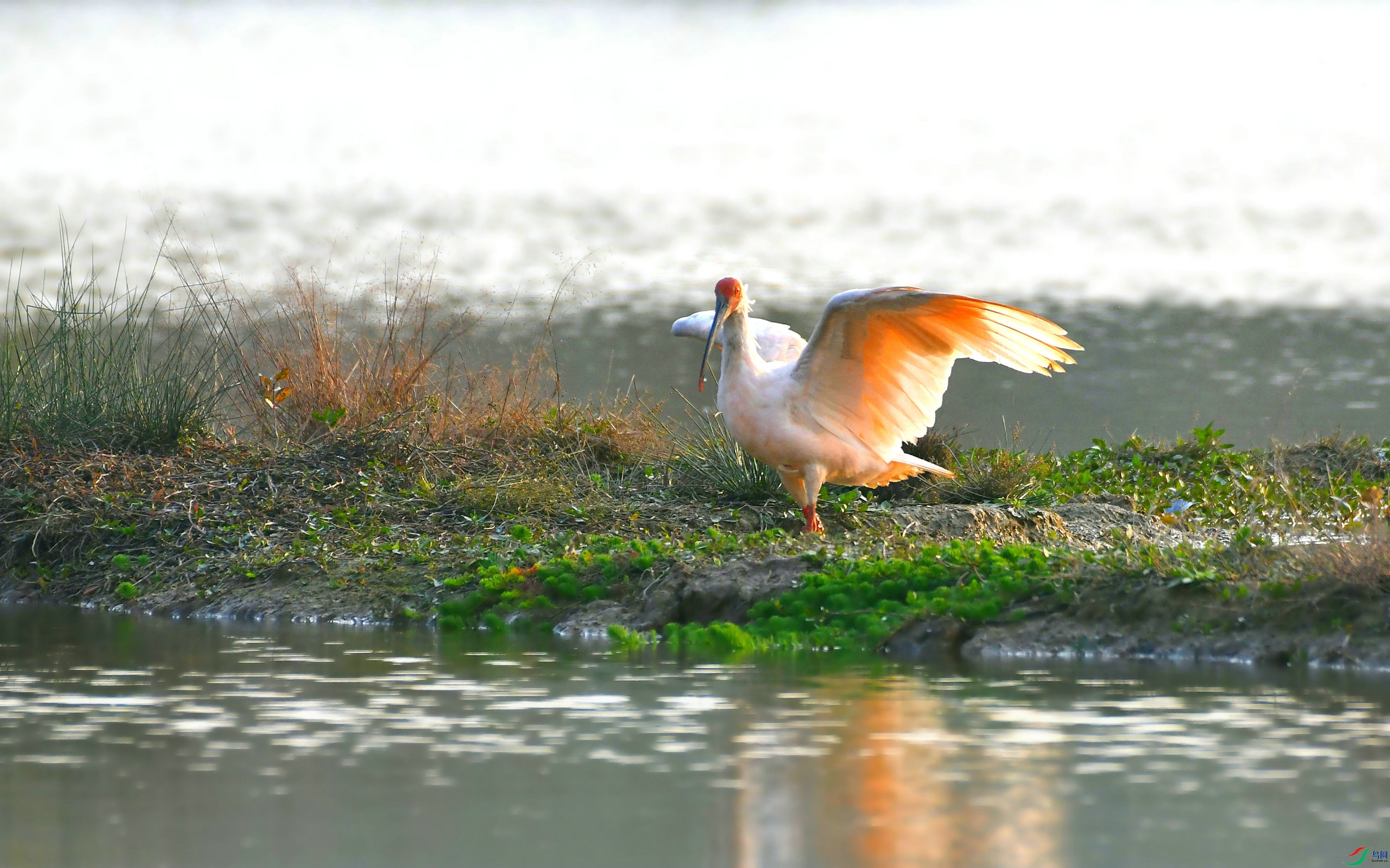 DSC_8037.JPG