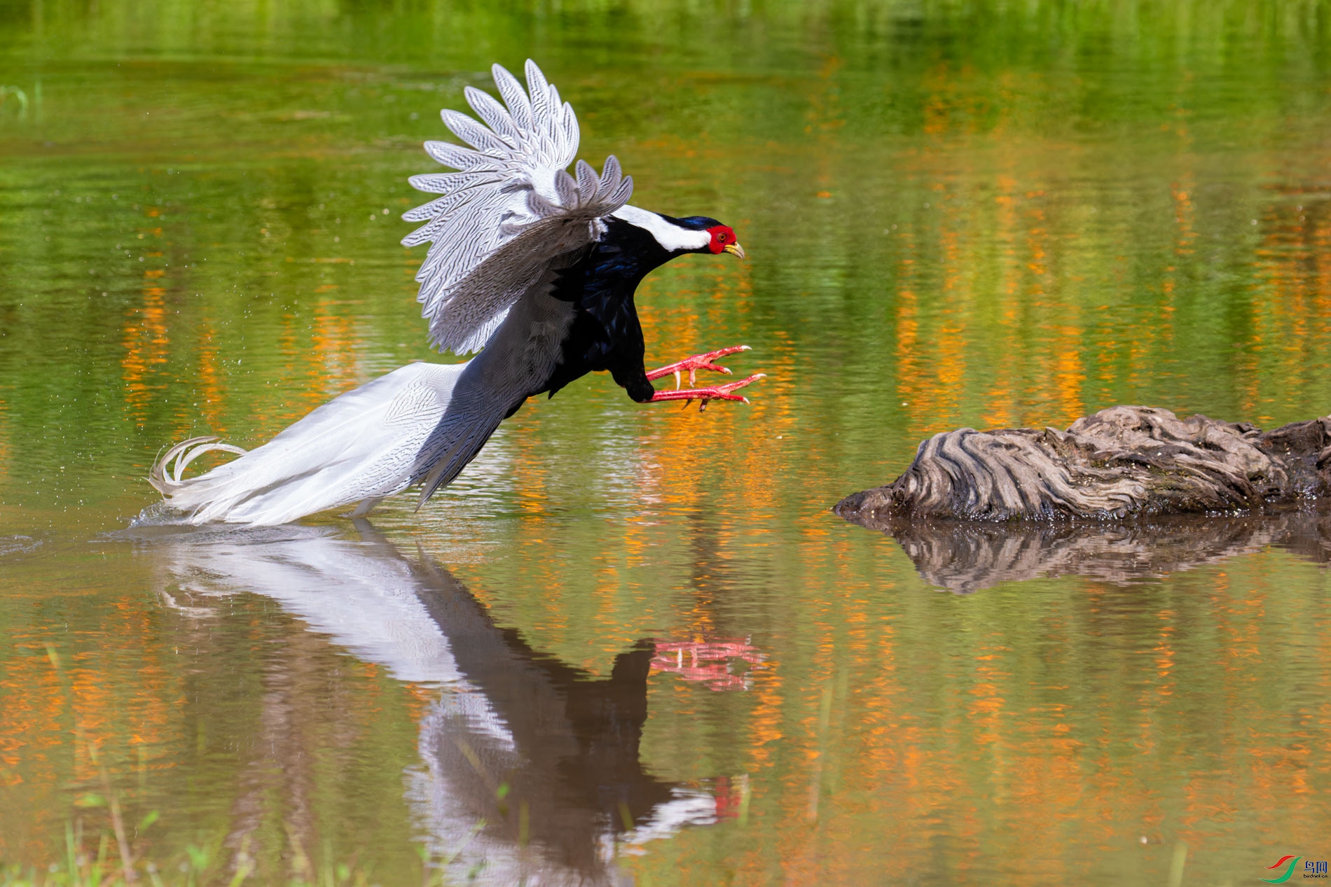 _00A3174-CR2_DxO_DeepPRIMEXD-2-1.jpg