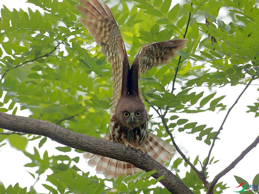 _Q6U1099_����.jpg