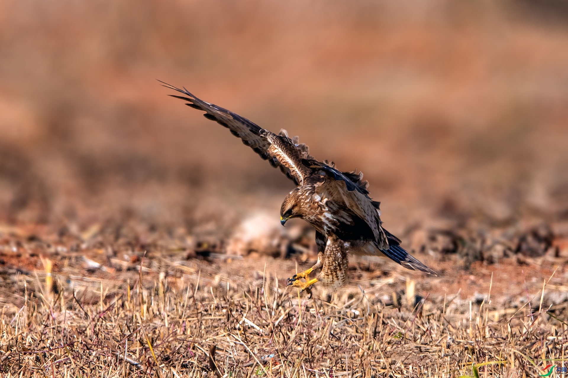 ��_AUU3018����(23.12.31)-1.jpg