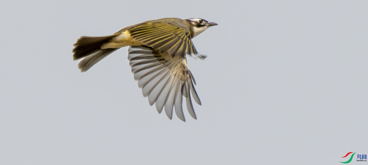 DSC_6056 ����.jpg