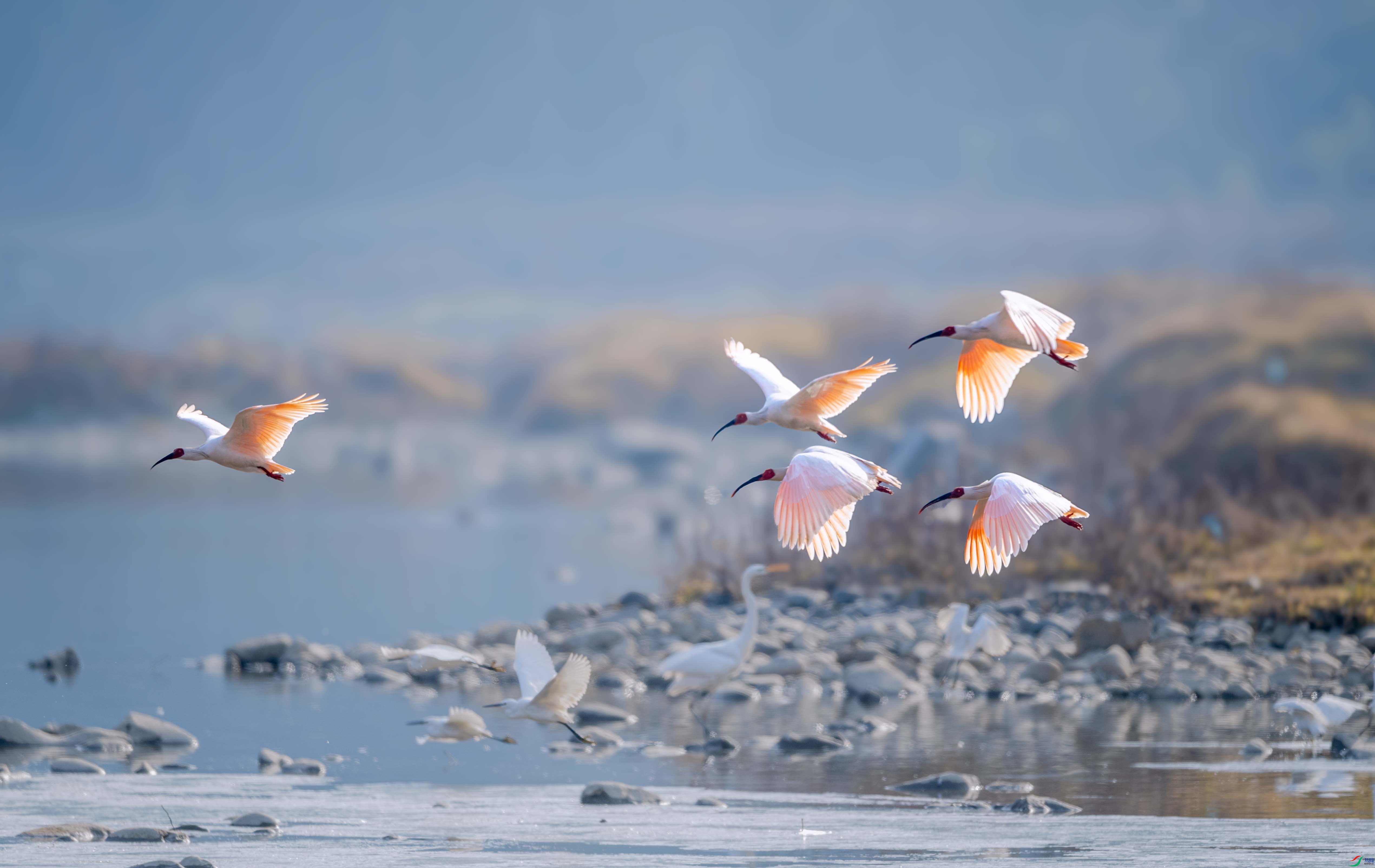 DSC_9142 ����.jpg