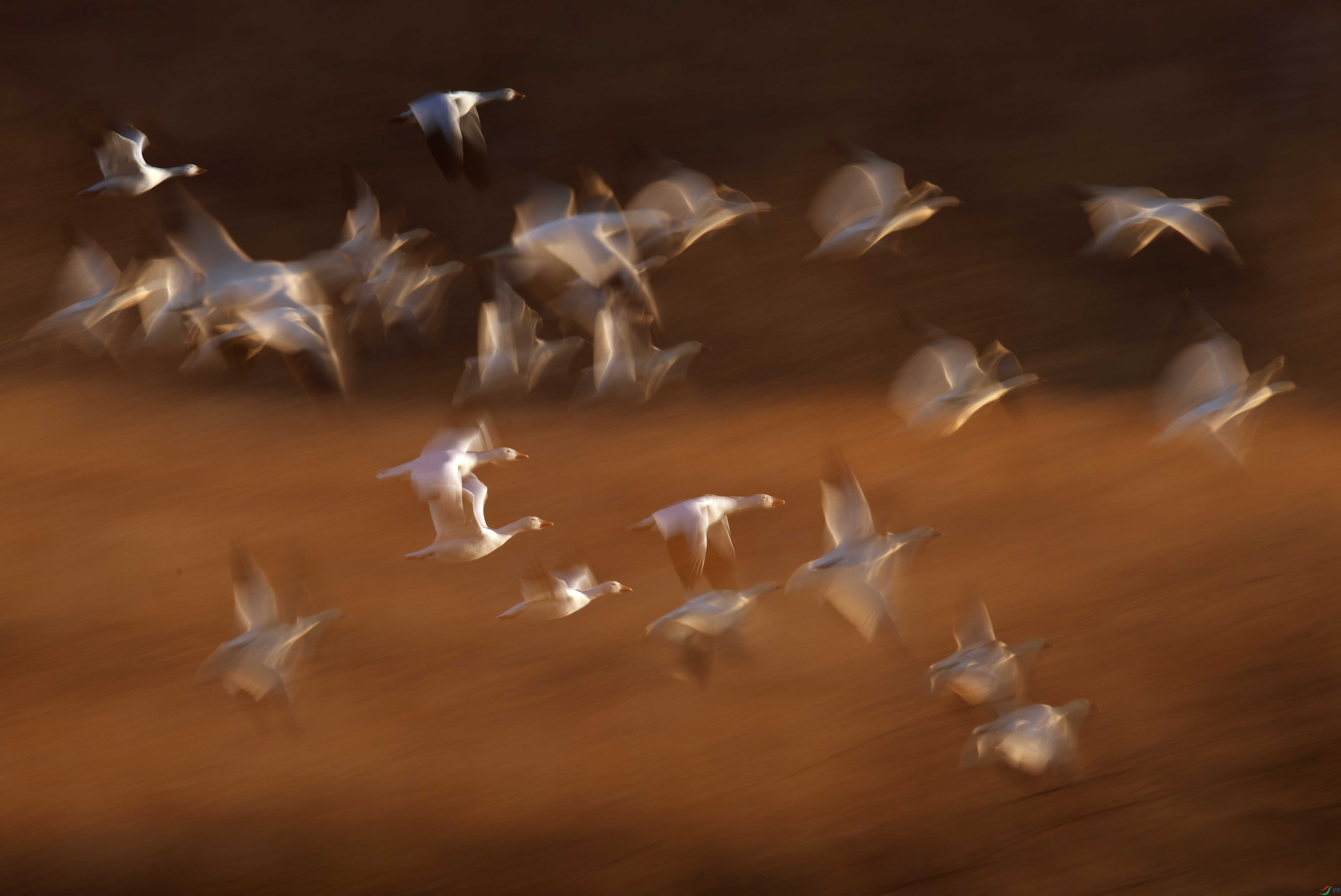 ��Ƭ 539����.jpg