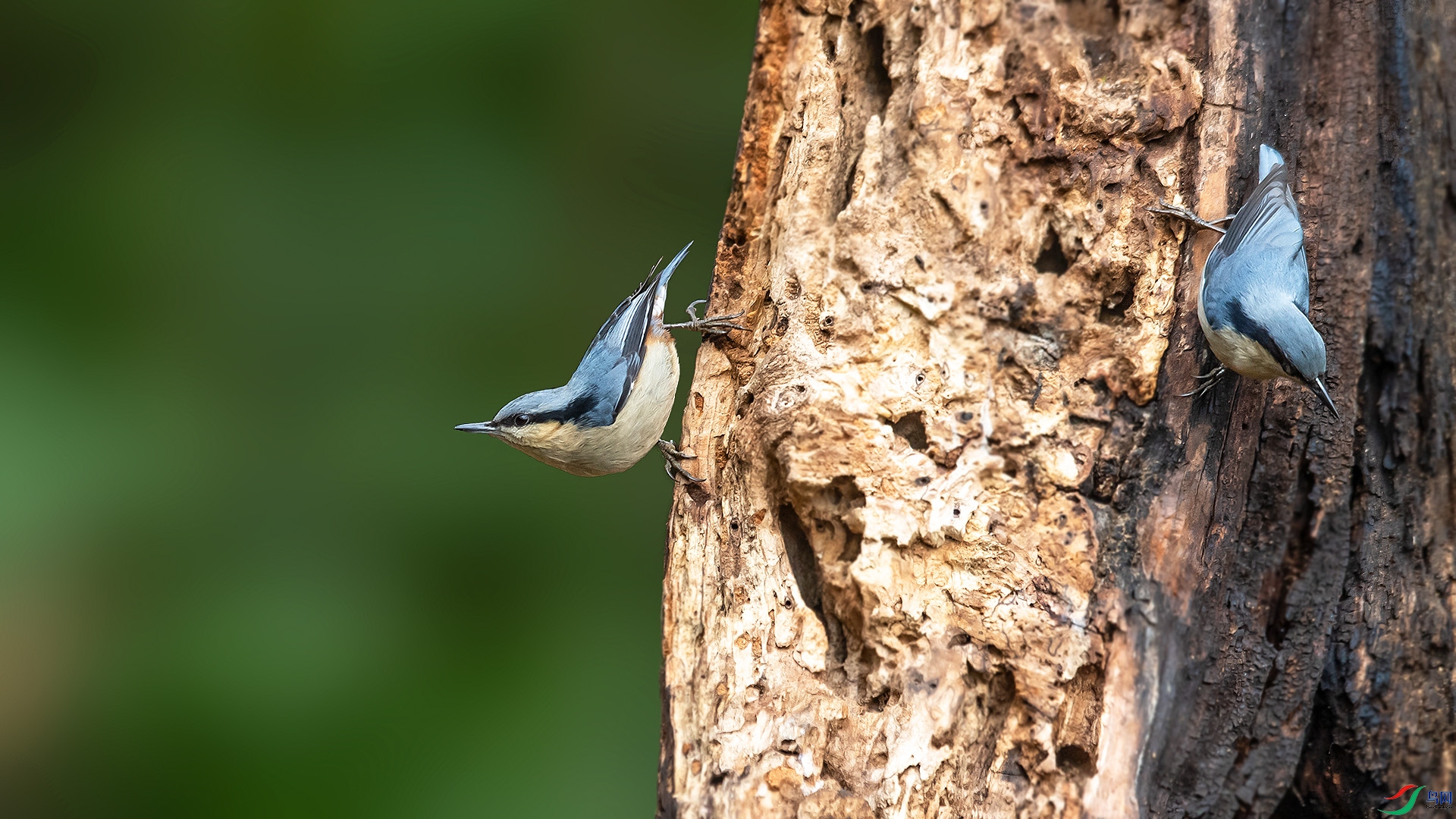 DSC_3324.jpg