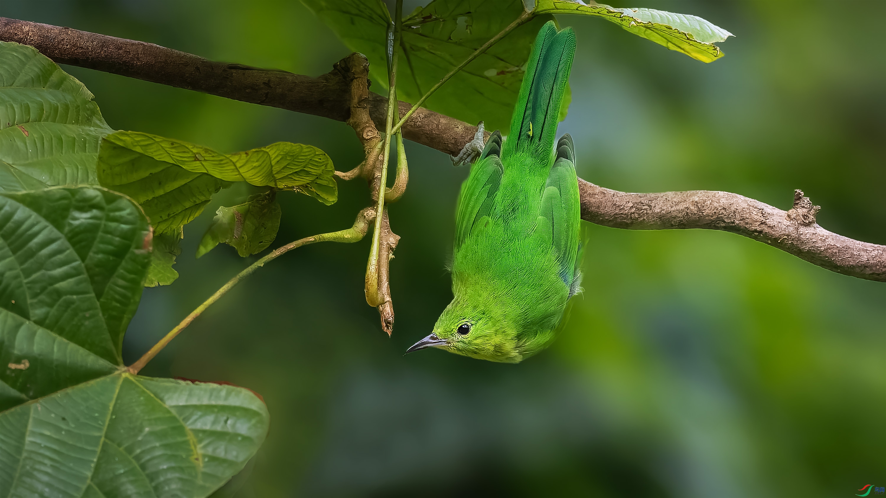 P9211022-ORF_DxO_DeepPRIME ����.jpg