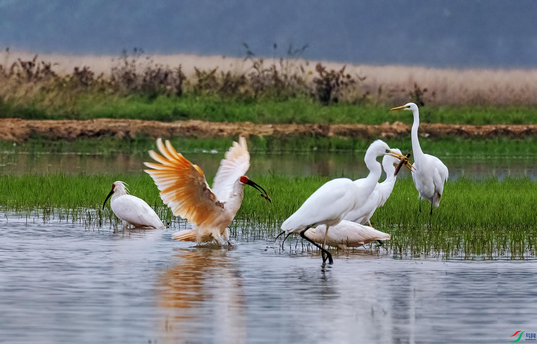 ��������