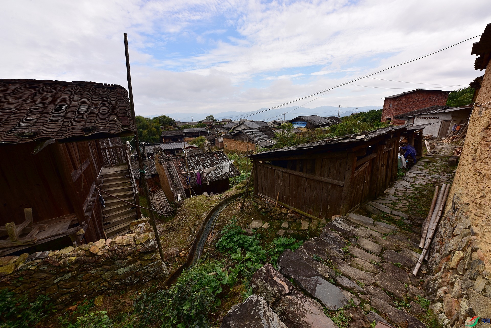 D8I_1312.jpg