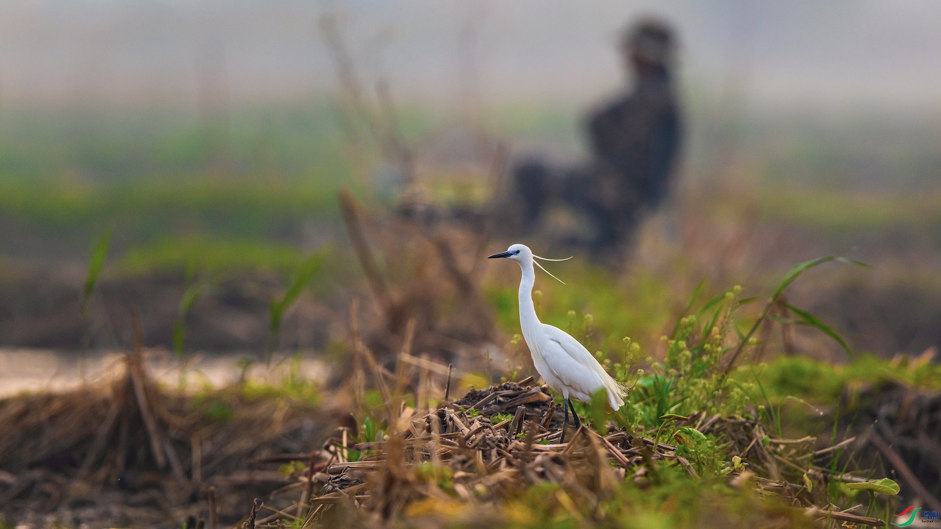 1_1XXI2770 2 ����.jpeg