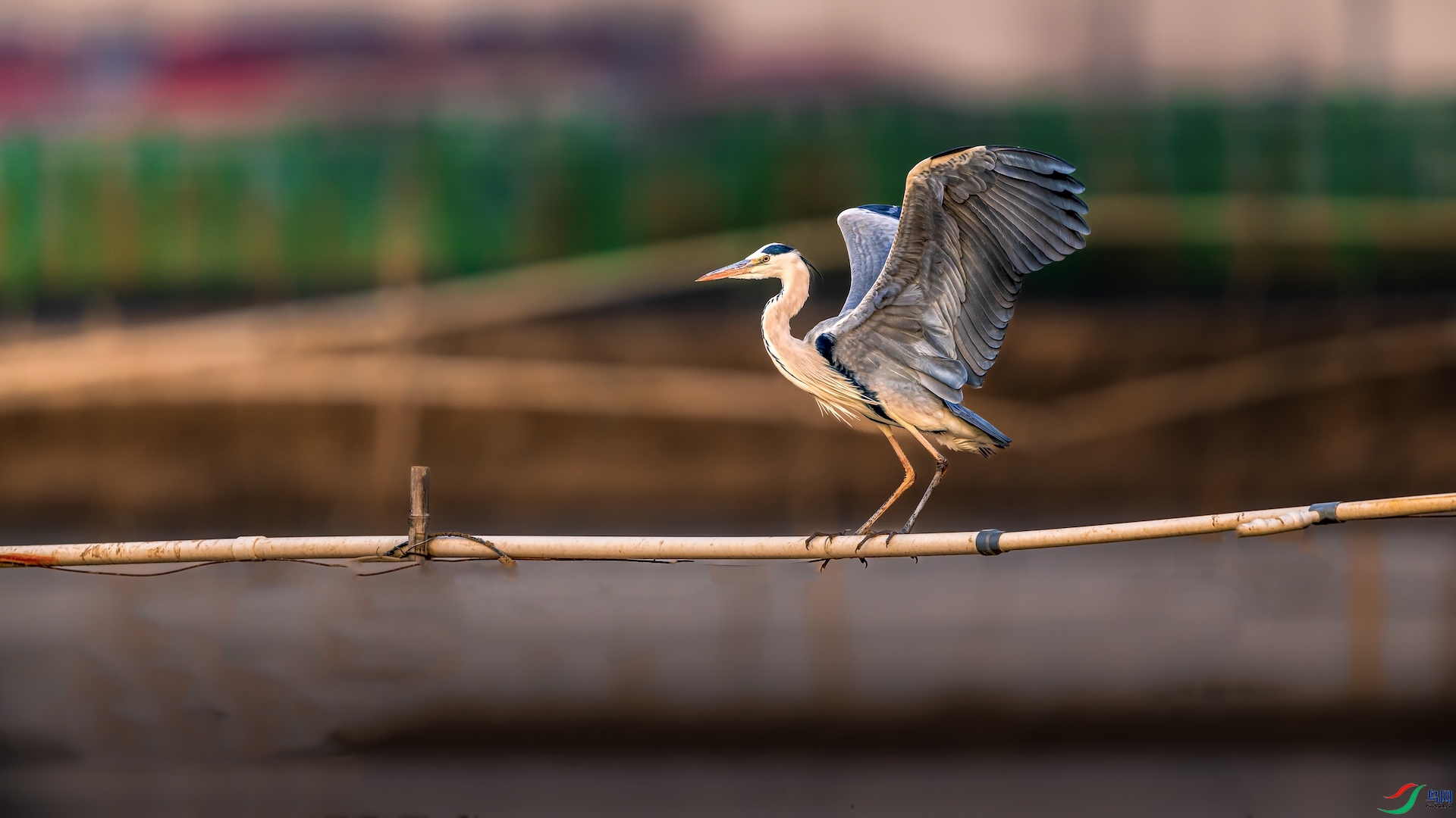 1_XXI7094-1 ����.jpeg