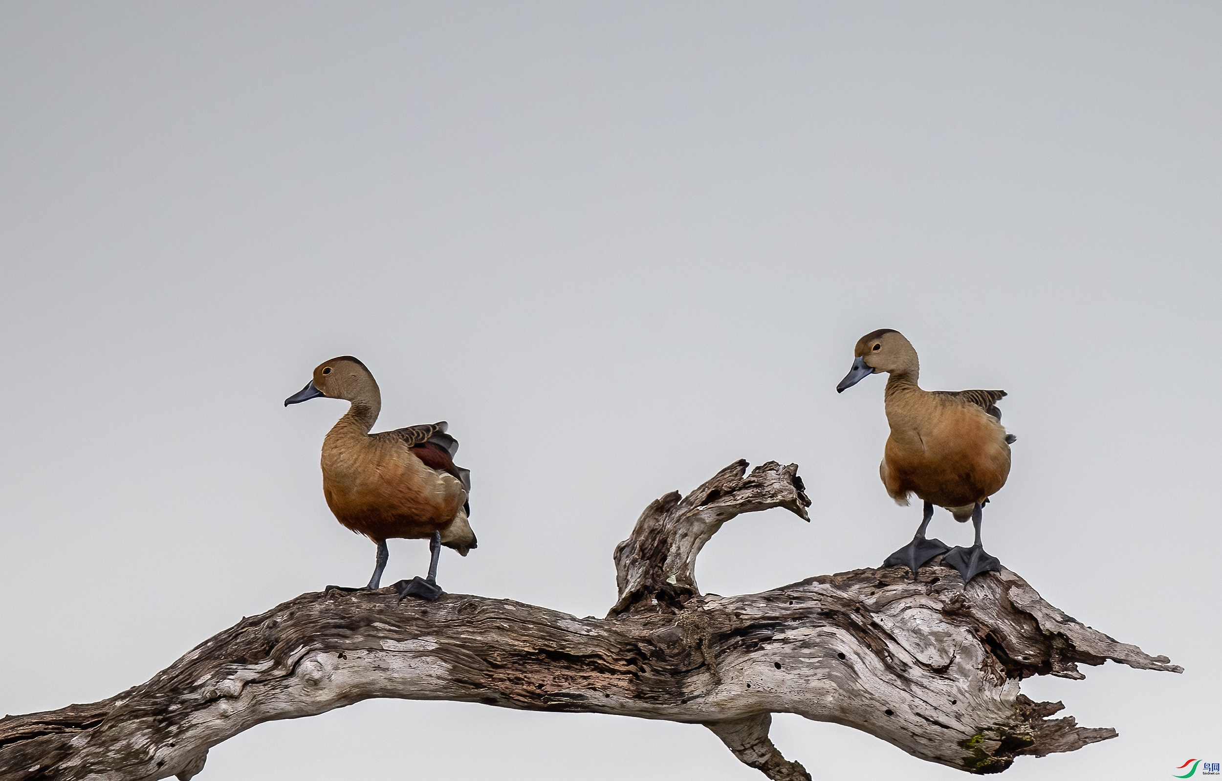 AC3I2514 ����.jpg