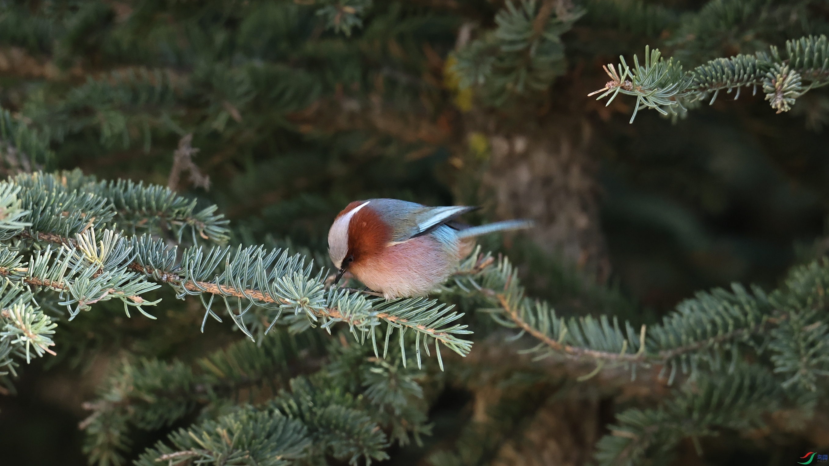 7X5A2701 ����.jpg