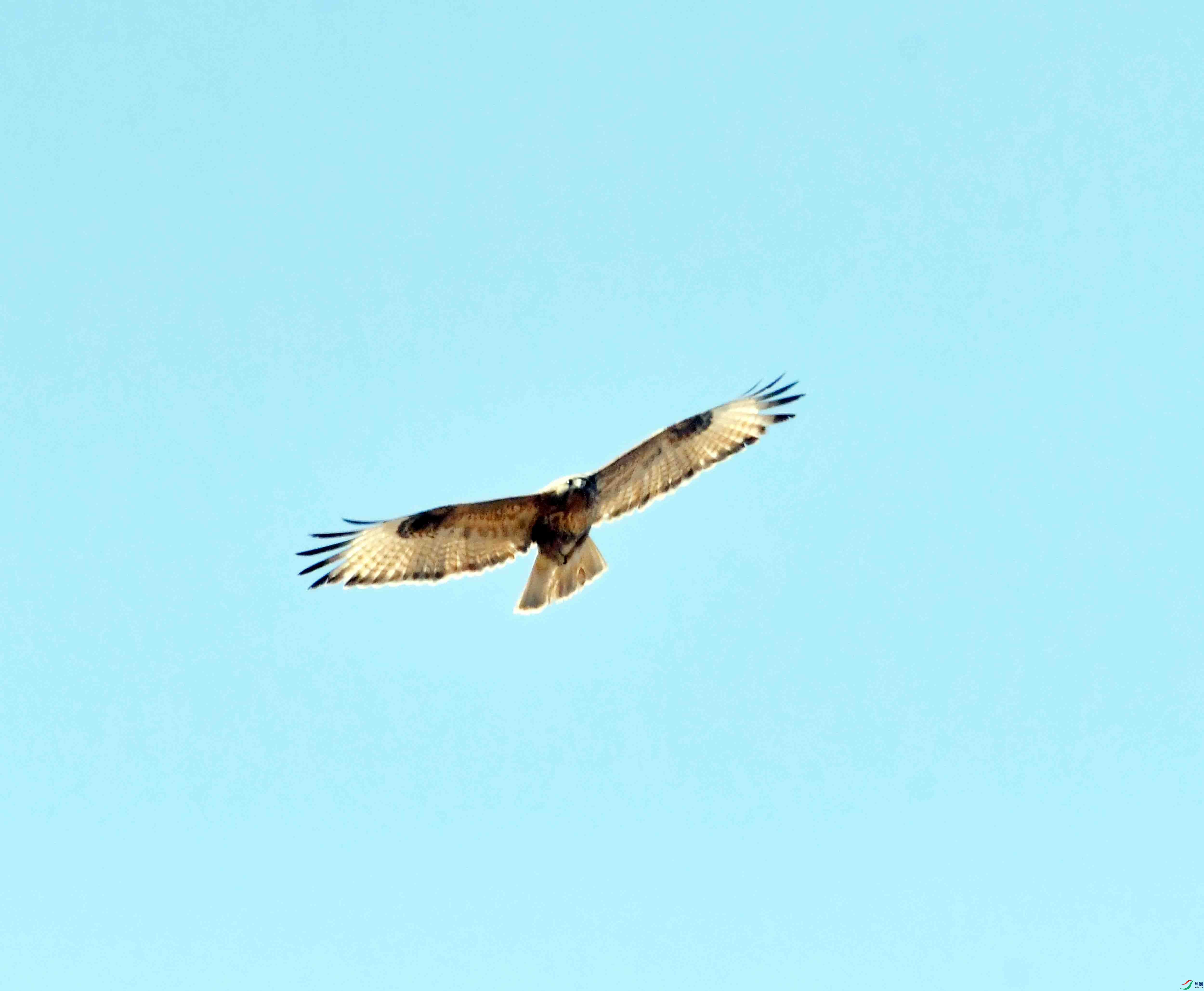 DSC_1295.JPG